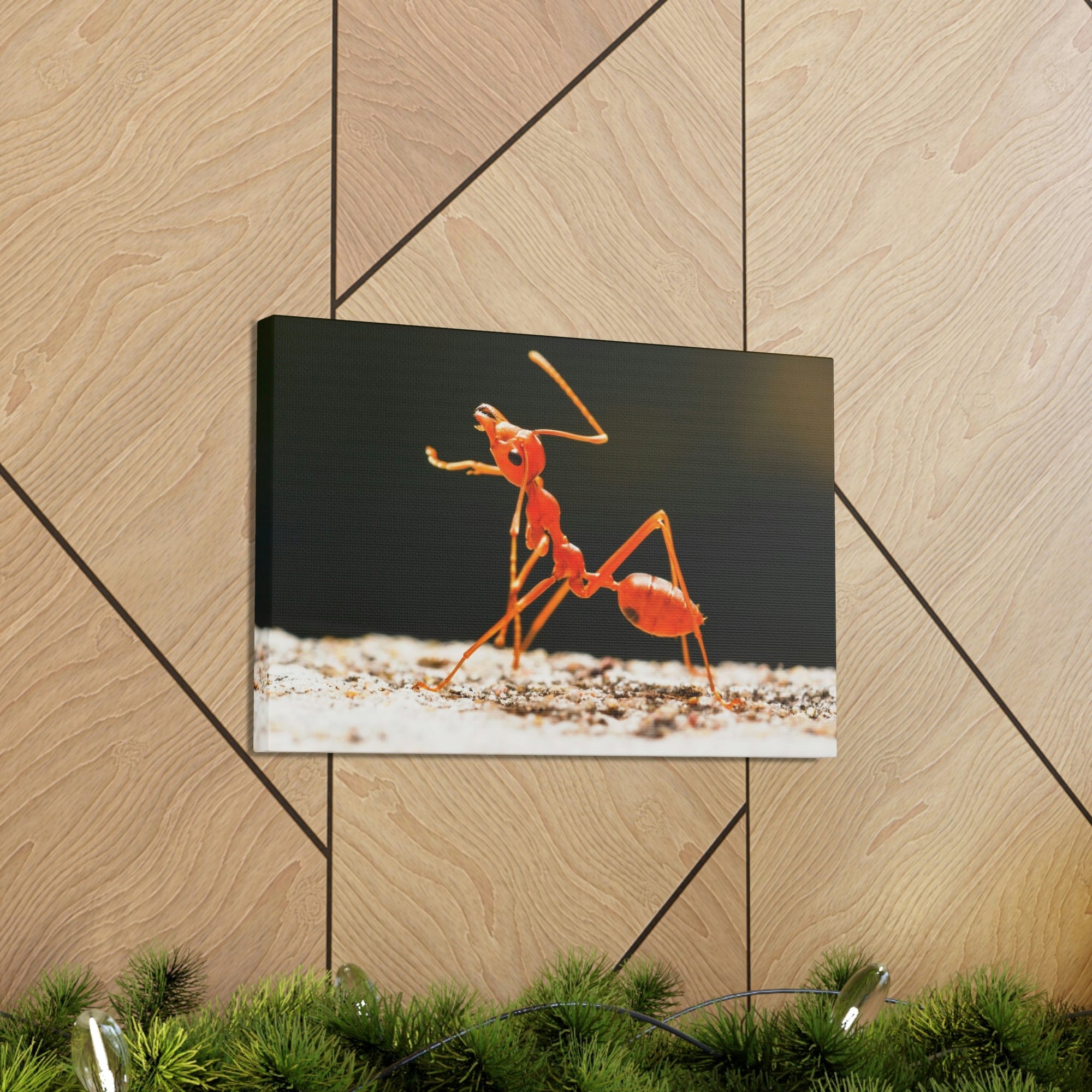 Ant Walk Real Ant Wall Art Ready To Hang Unframed-Express Your Love Gifts