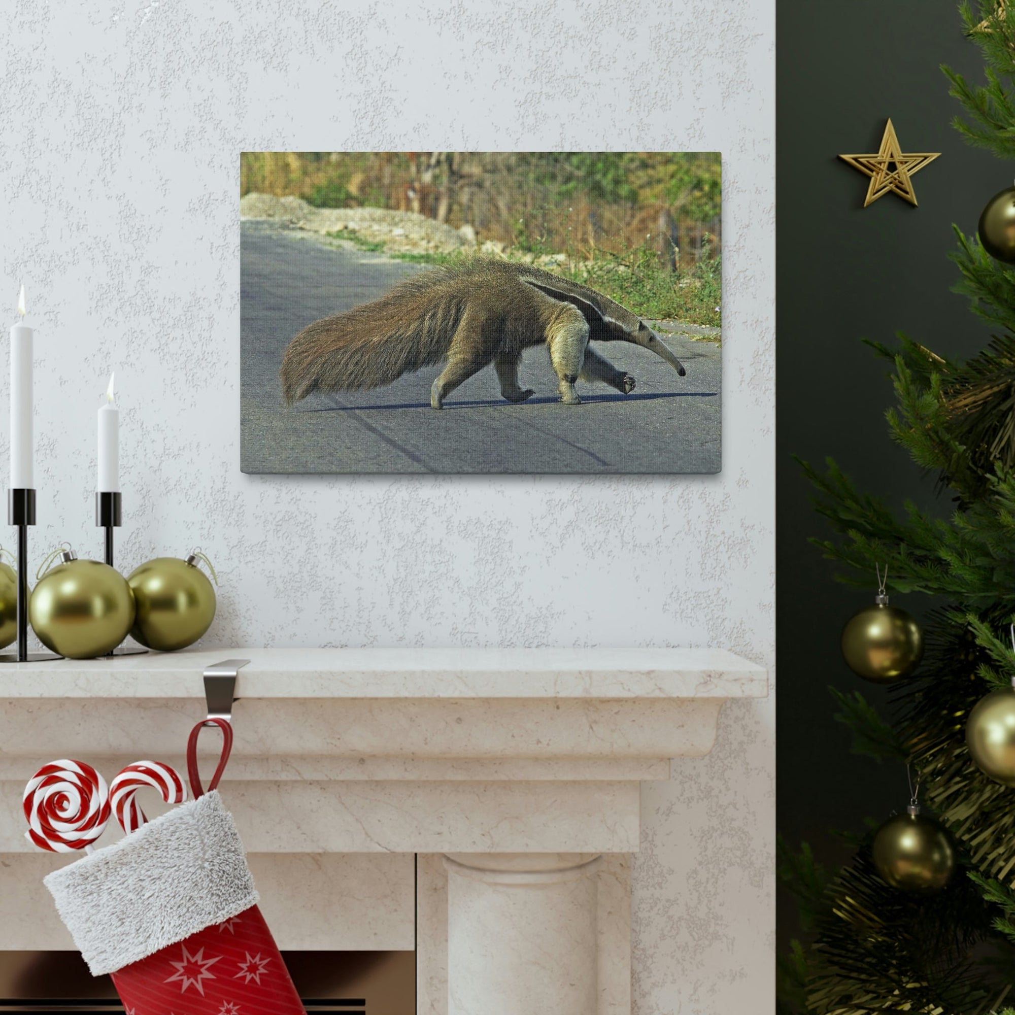 Scripture Walls Anteater Hunting Anteater on Hunt Print Animal Wall Art Wildlife Canvas Prints Wall Art Ready to Hang Unframed-Express Your Love Gifts