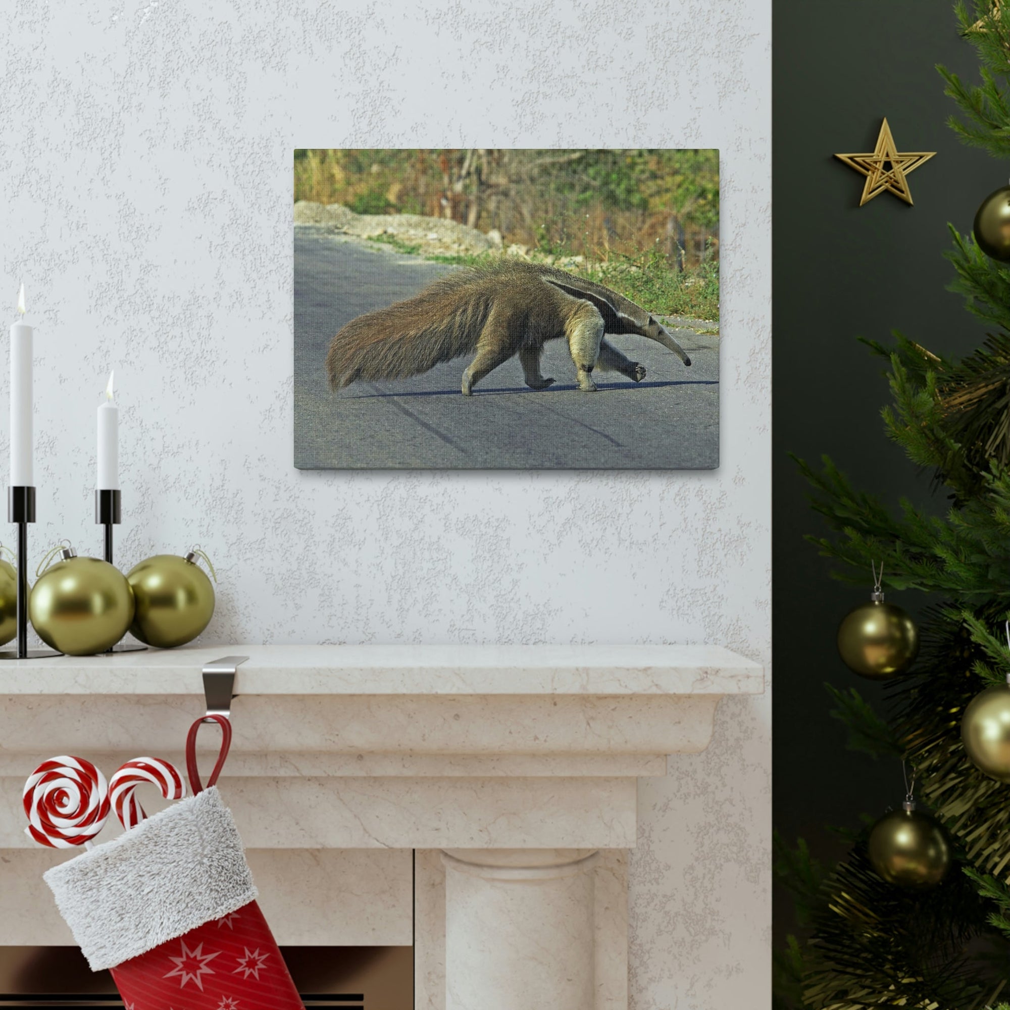 Scripture Walls Anteater Hunting Anteater on Hunt Print Animal Wall Art Wildlife Canvas Prints Wall Art Ready to Hang Unframed-Express Your Love Gifts