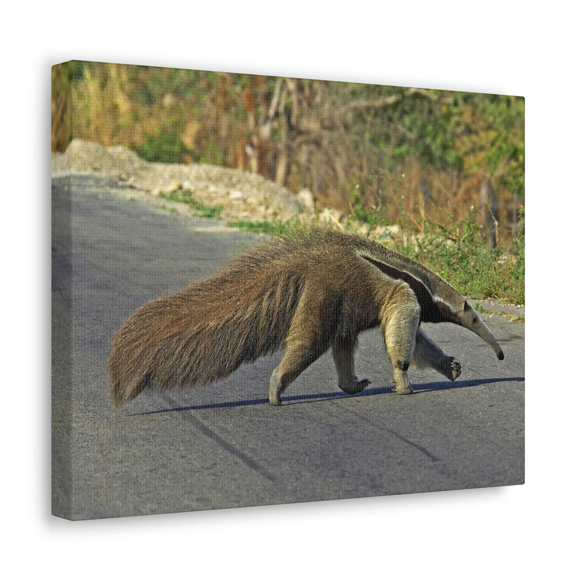 Scripture Walls Anteater Hunting Anteater on Hunt Print Animal Wall Art Wildlife Canvas Prints Wall Art Ready to Hang Unframed-Express Your Love Gifts