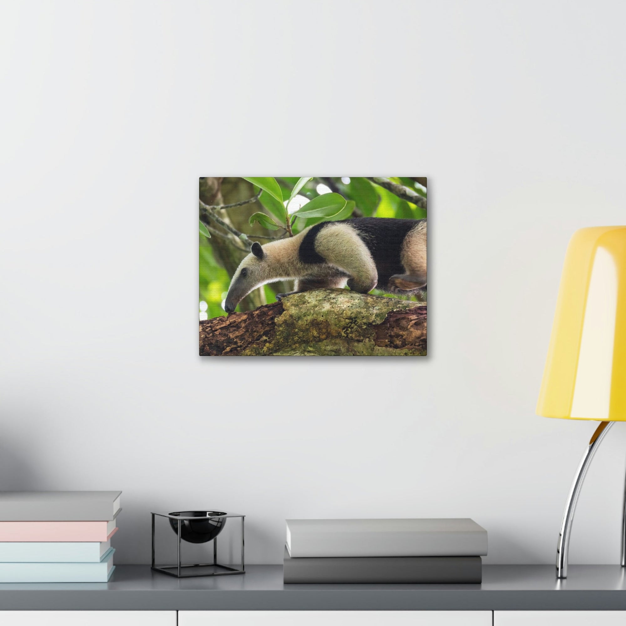 Anteater In Treetop Climbing Anteater Outside Wall Art Ready To Hang Unframed-Express Your Love Gifts