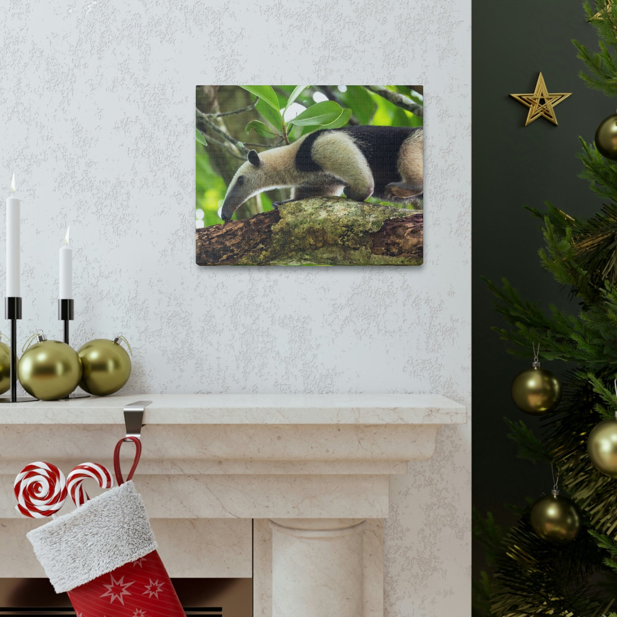 Anteater In Treetop Climbing Anteater Outside Wall Art Ready To Hang Unframed-Express Your Love Gifts