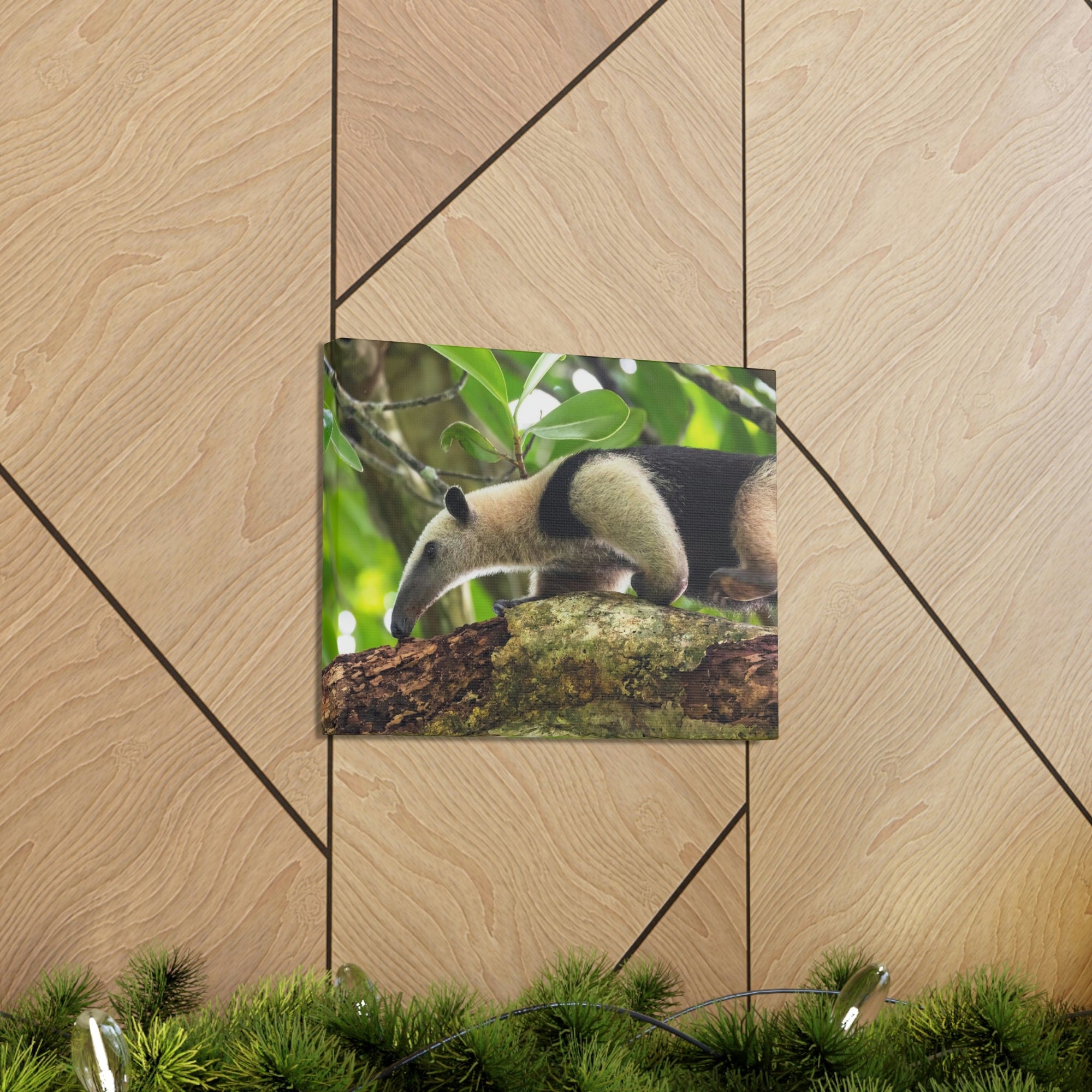 Anteater In Treetop Climbing Anteater Outside Wall Art Ready To Hang Unframed-Express Your Love Gifts