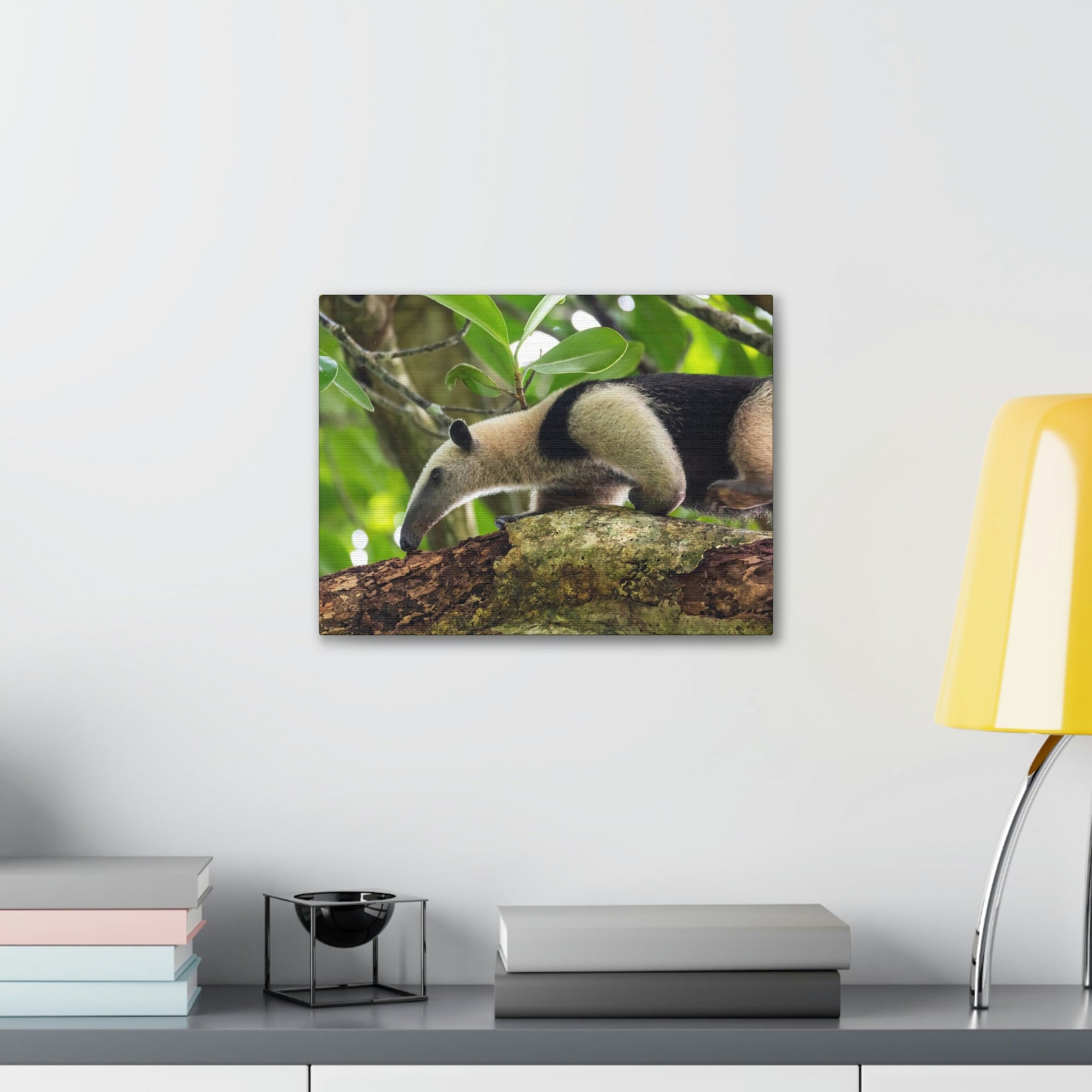 Anteater In Treetop Climbing Anteater Outside Wall Art Ready To Hang Unframed-Express Your Love Gifts