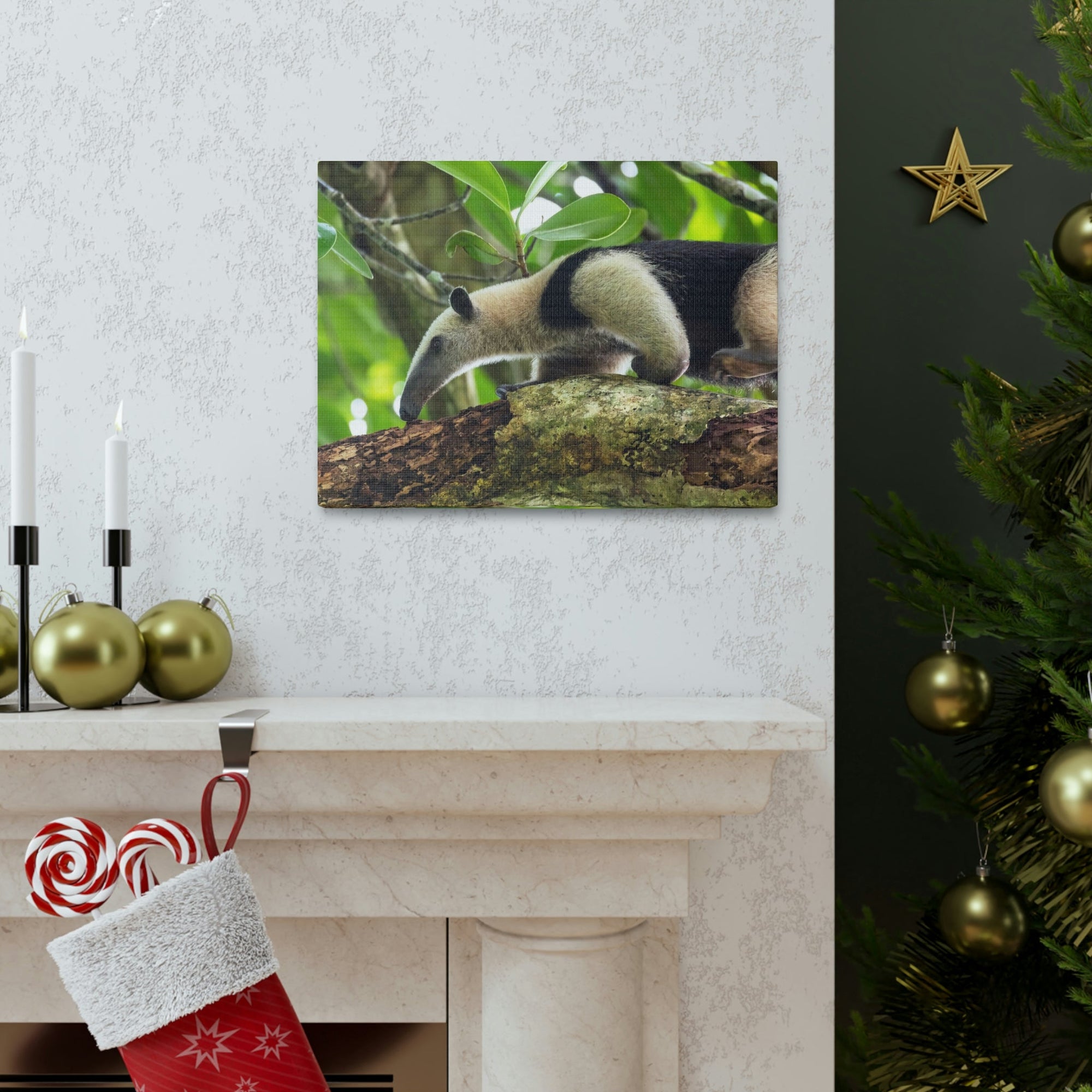 Anteater In Treetop Climbing Anteater Outside Wall Art Ready To Hang Unframed-Express Your Love Gifts