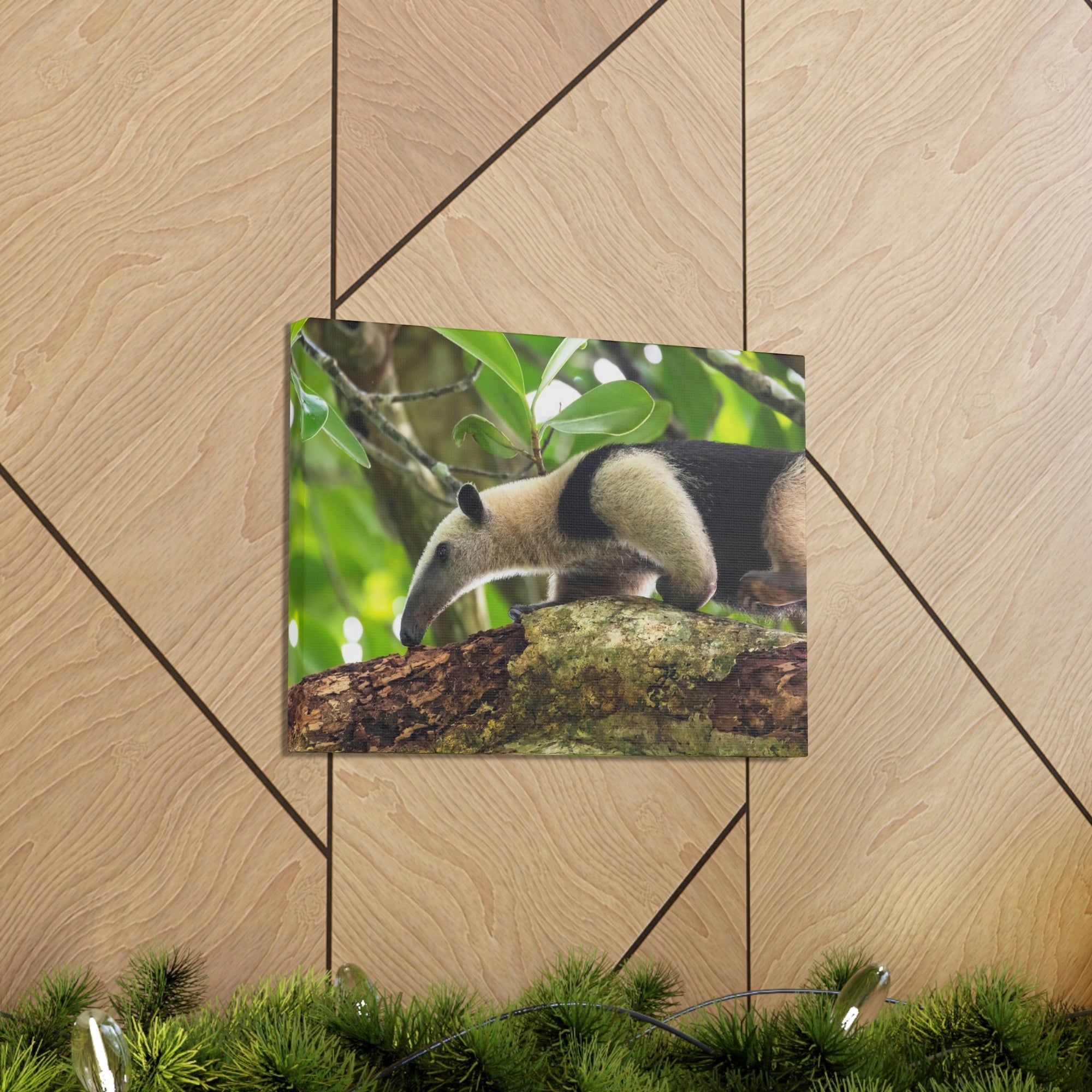 Anteater In Treetop Climbing Anteater Outside Wall Art Ready To Hang Unframed-Express Your Love Gifts