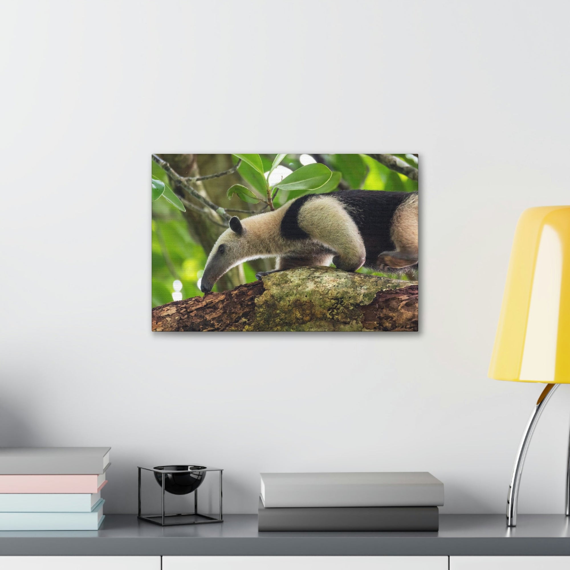 Anteater In Treetop Climbing Anteater Outside Wall Art Ready To Hang Unframed-Express Your Love Gifts