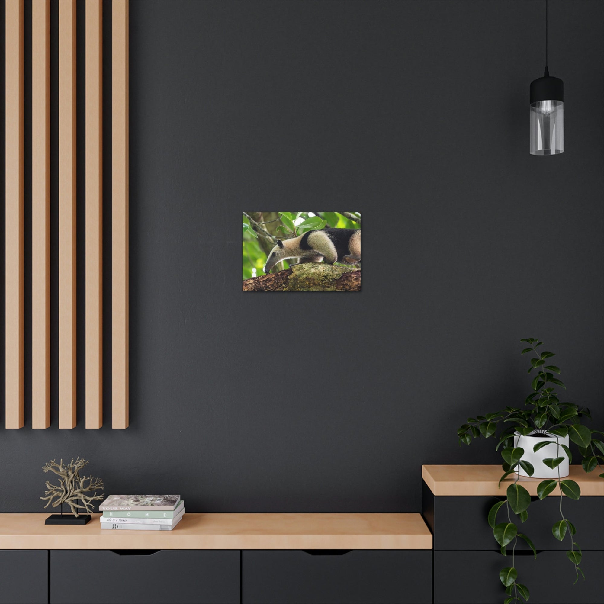 Anteater In Treetop Climbing Anteater Outside Wall Art Ready To Hang Unframed-Express Your Love Gifts