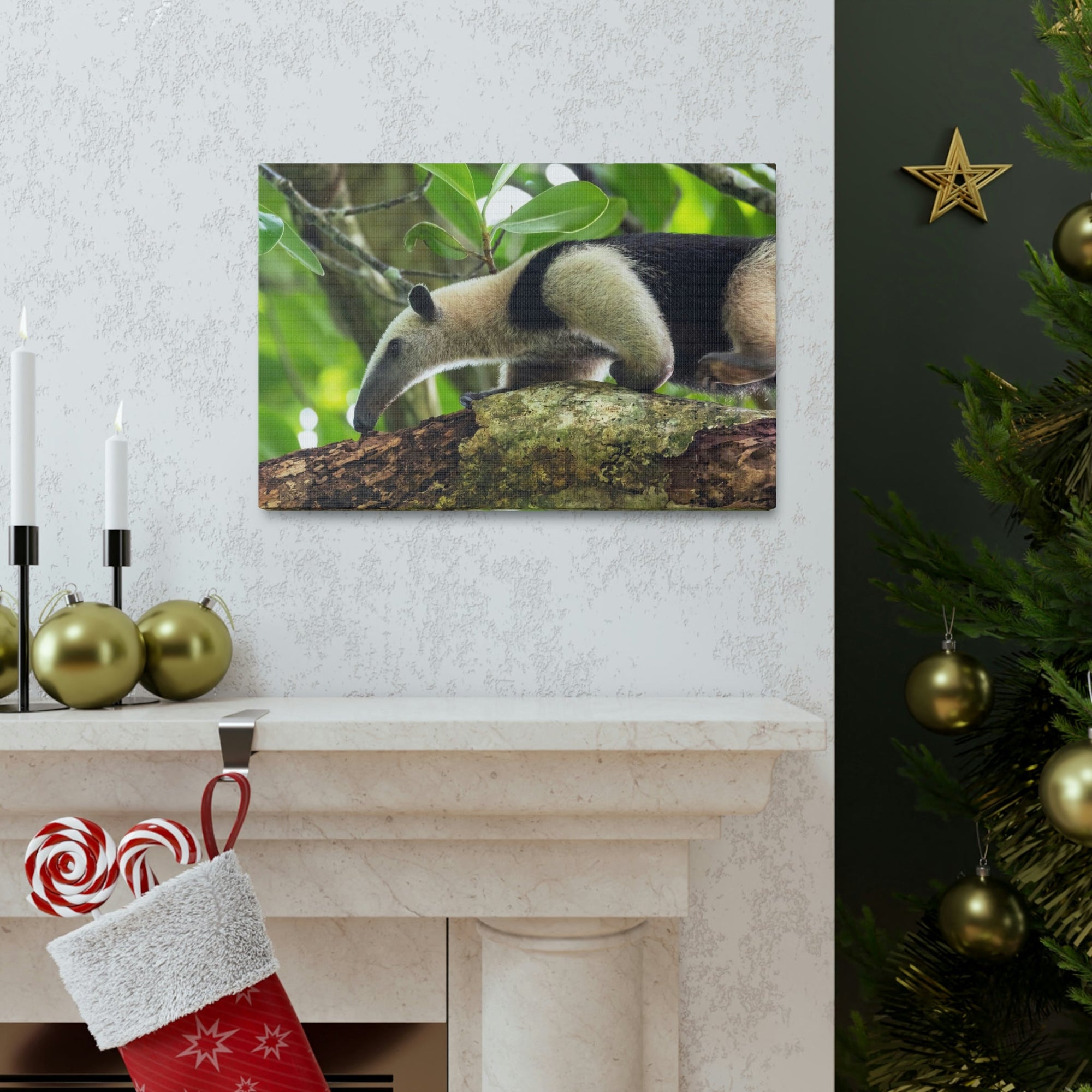 Anteater In Treetop Climbing Anteater Outside Wall Art Ready To Hang Unframed-Express Your Love Gifts