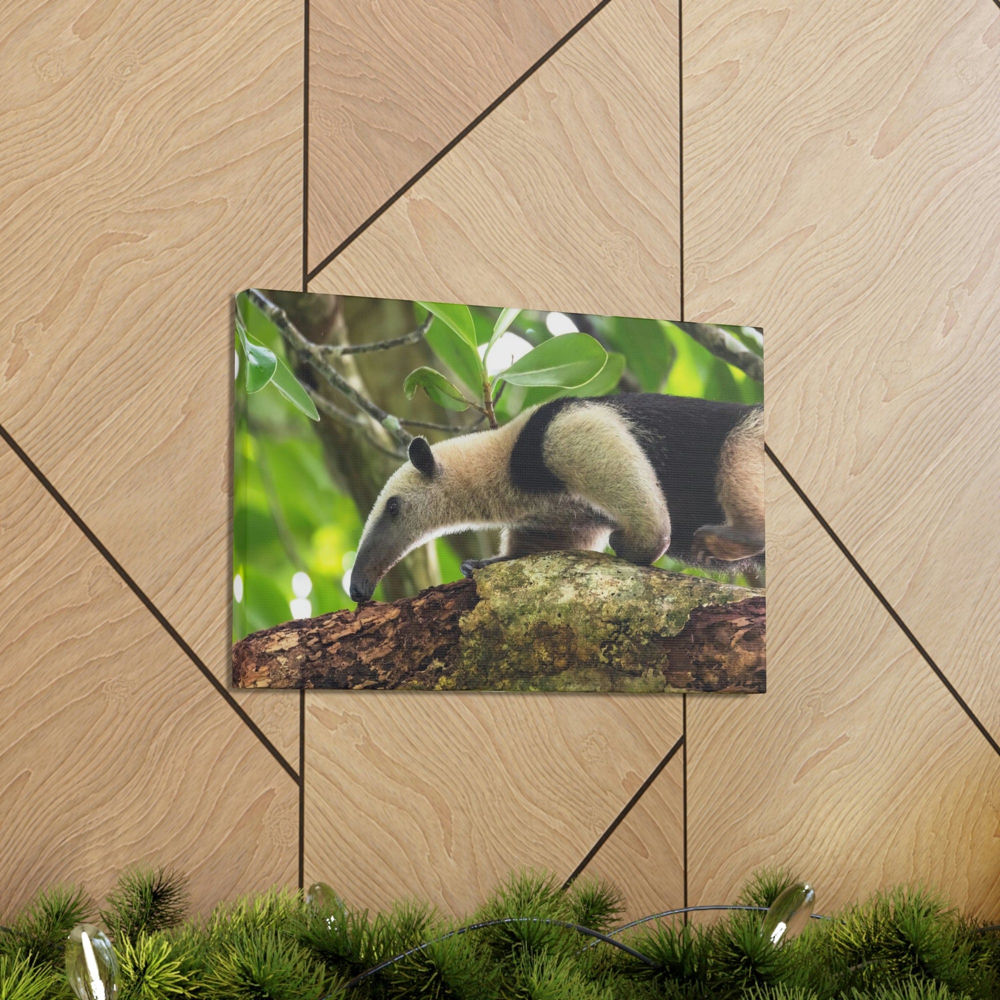 Anteater In Treetop Climbing Anteater Outside Wall Art Ready To Hang Unframed-Express Your Love Gifts