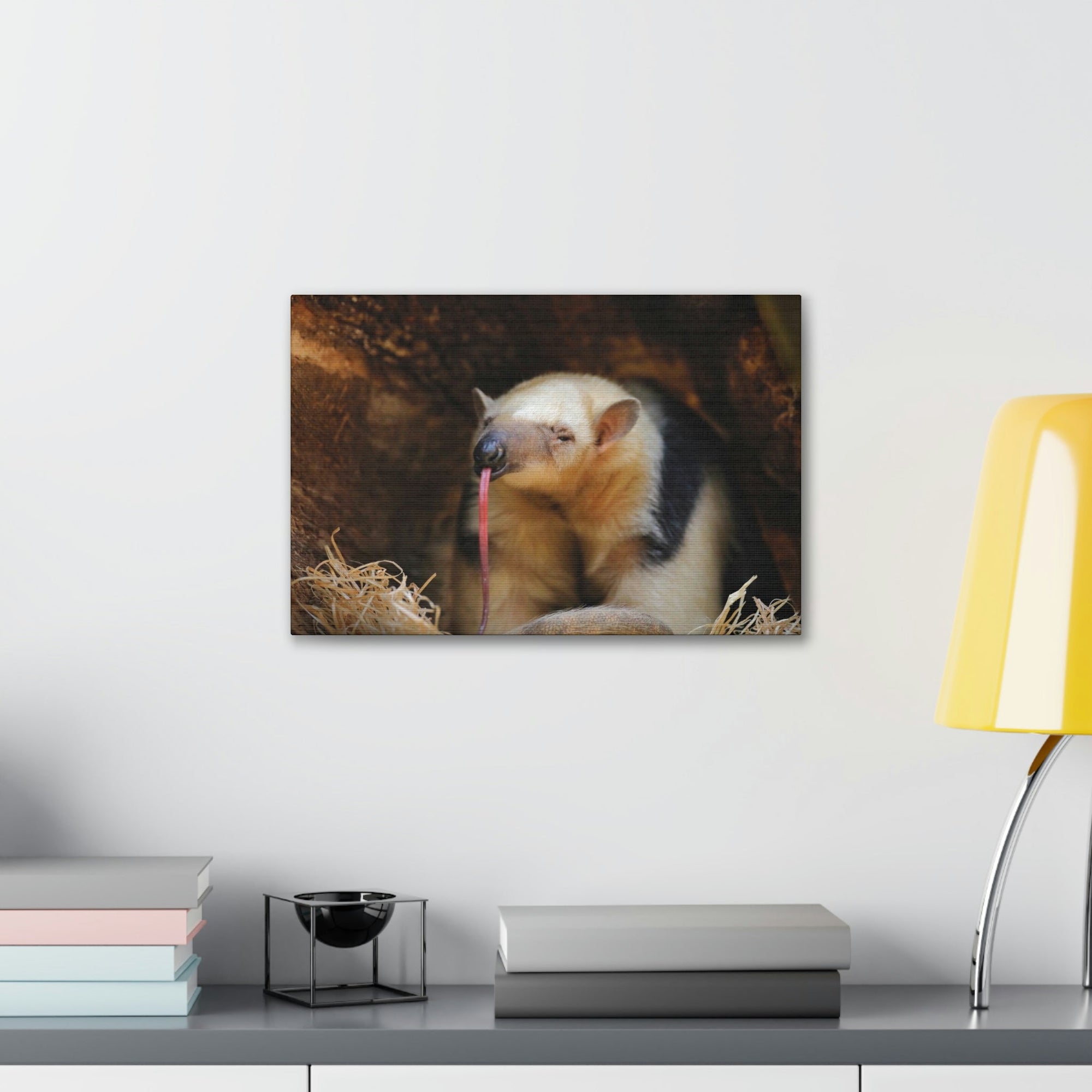 Anteater Long Tongue Anteater With Long Muzzle And Big Ear Wall Art Ready To Hang Unframed-Express Your Love Gifts