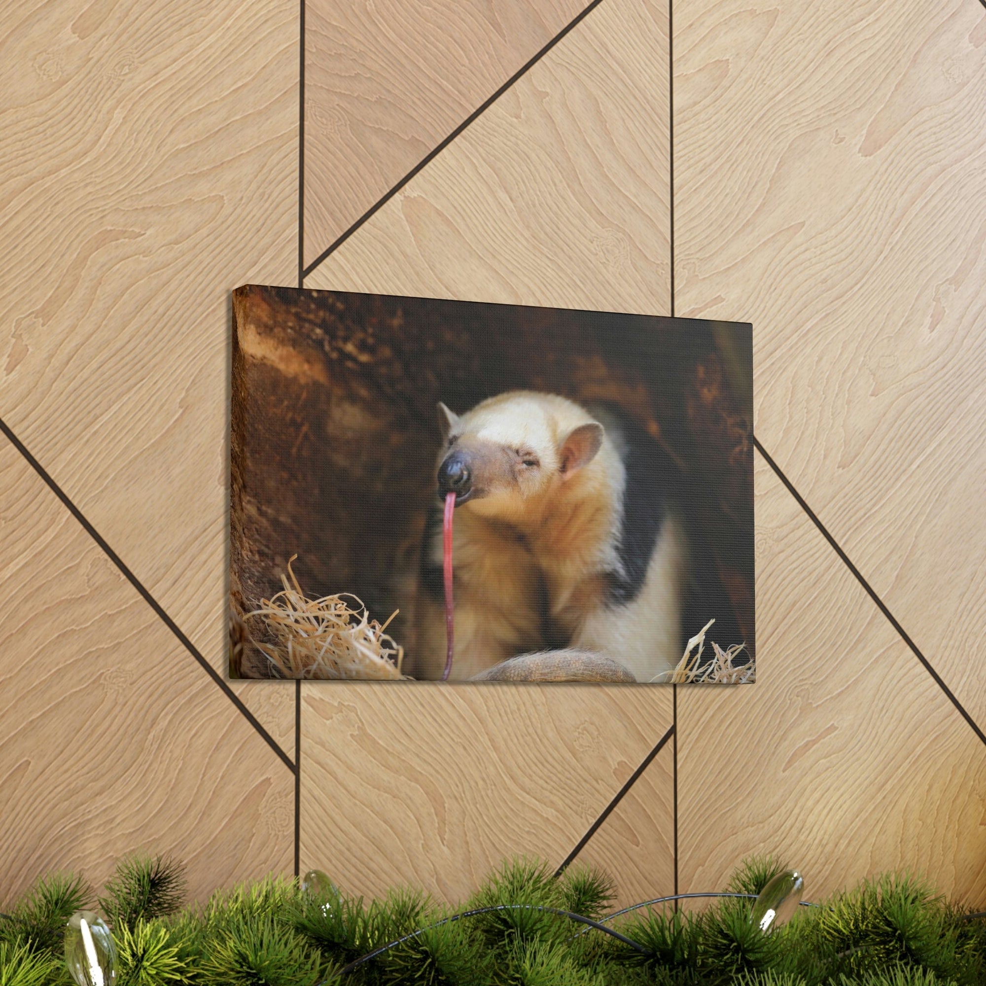 Anteater Long Tongue Anteater With Long Muzzle And Big Ear Wall Art Ready To Hang Unframed-Express Your Love Gifts