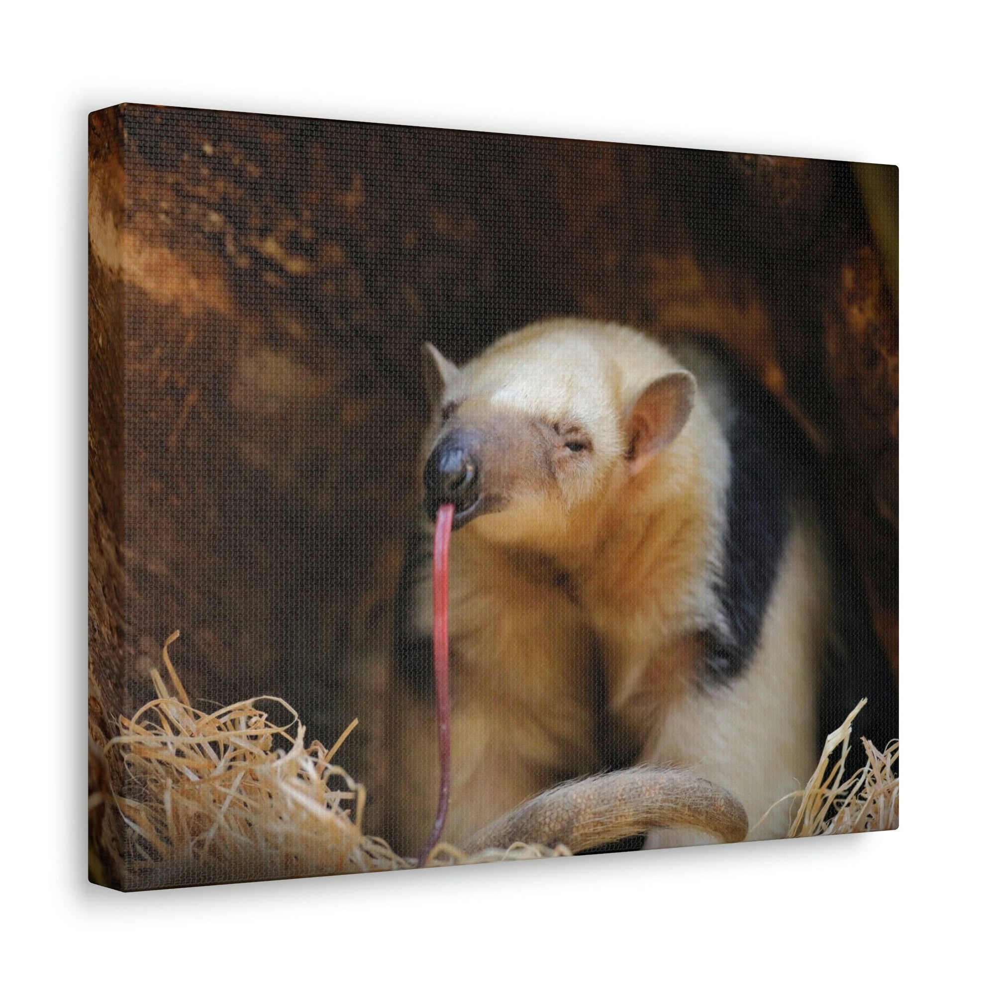 Anteater Long Tongue Anteater With Long Muzzle And Big Ear Wall Art Ready To Hang Unframed-Express Your Love Gifts