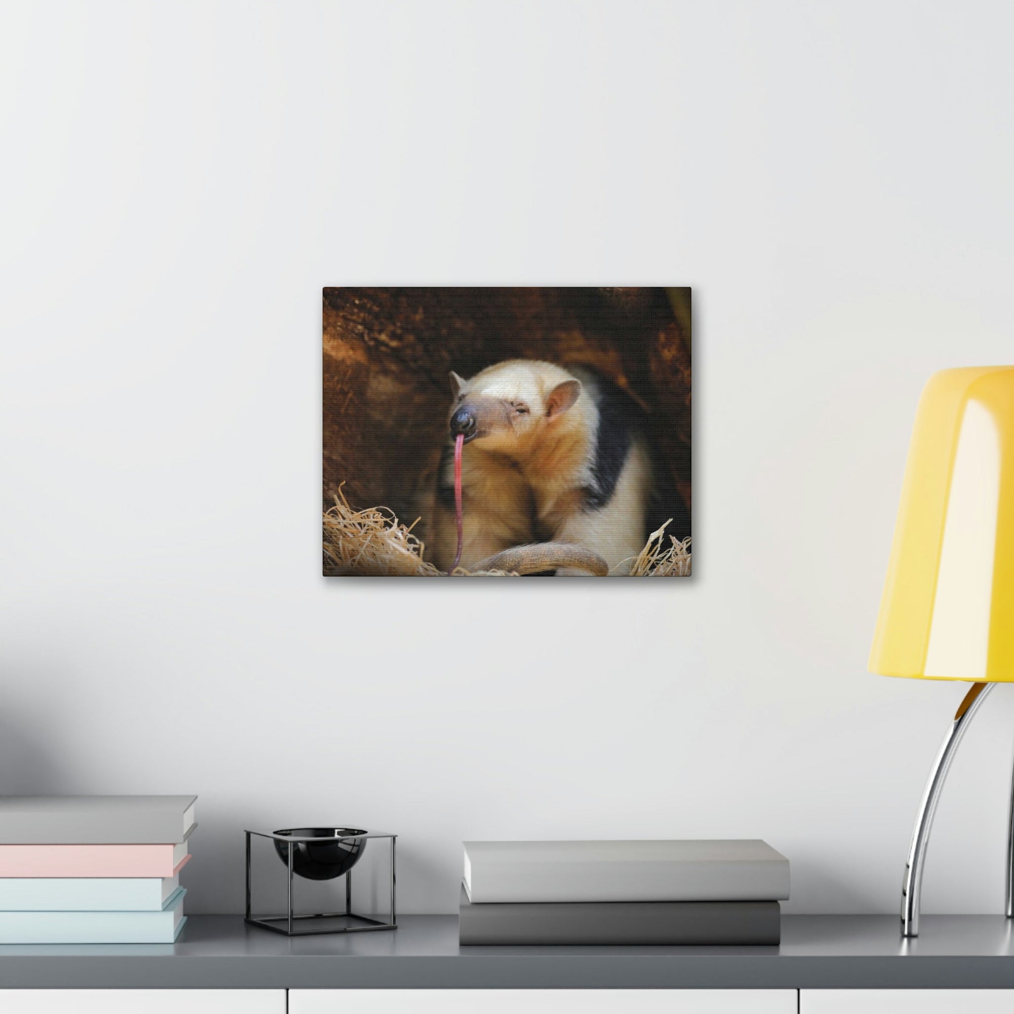 Anteater Long Tongue Anteater With Long Muzzle And Big Ear Wall Art Ready To Hang Unframed-Express Your Love Gifts