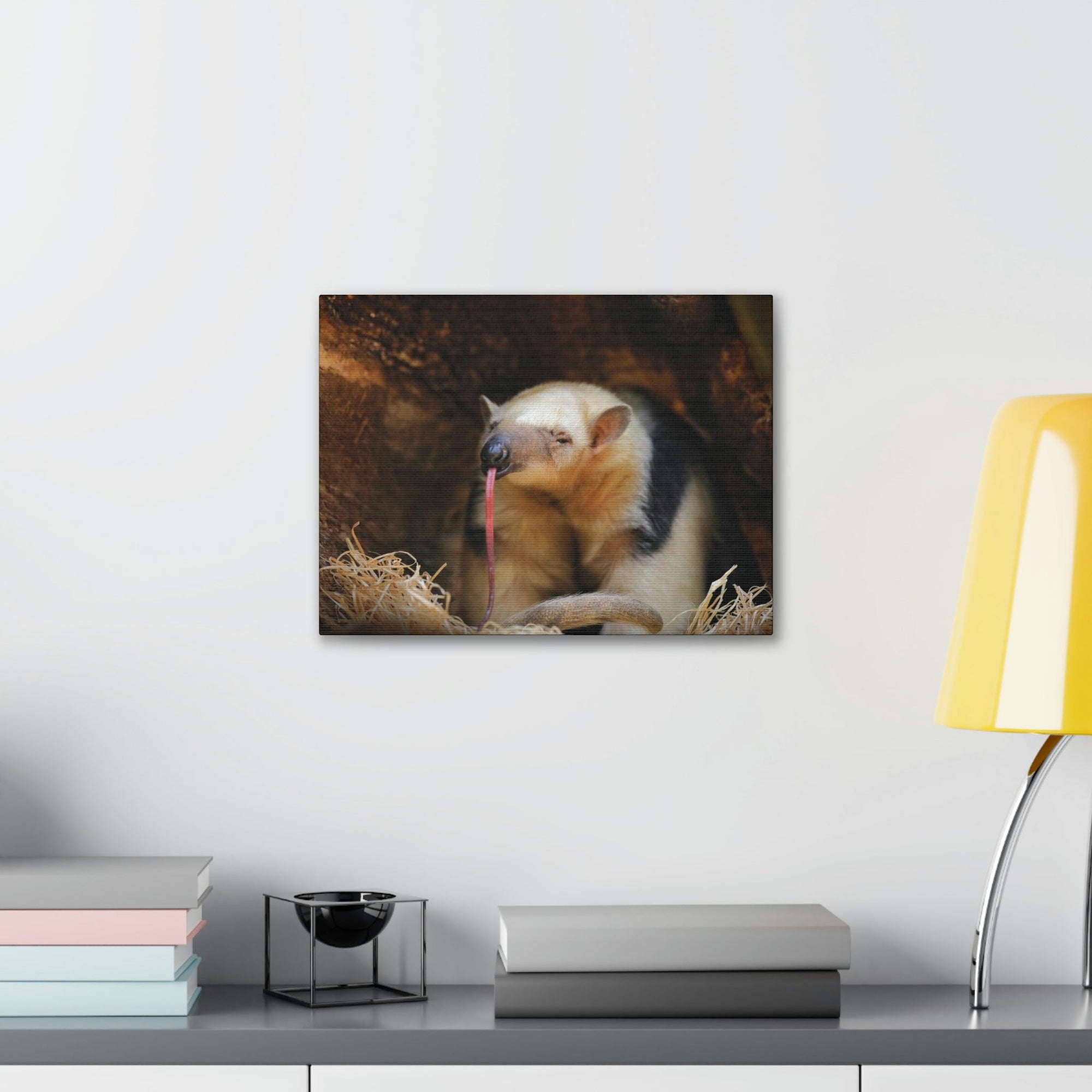 Anteater Long Tongue Anteater With Long Muzzle And Big Ear Wall Art Ready To Hang Unframed-Express Your Love Gifts