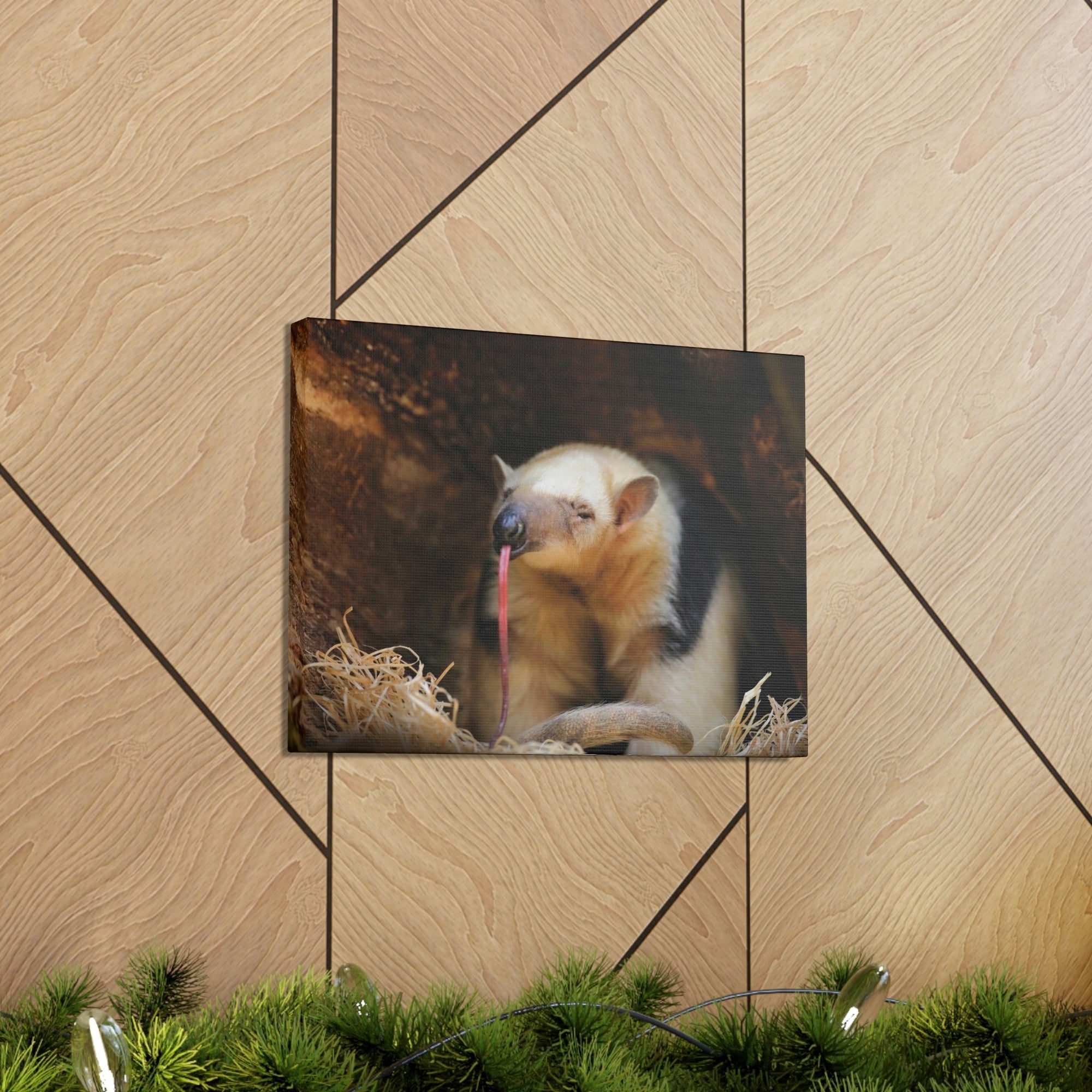 Anteater Long Tongue Anteater With Long Muzzle And Big Ear Wall Art Ready To Hang Unframed-Express Your Love Gifts