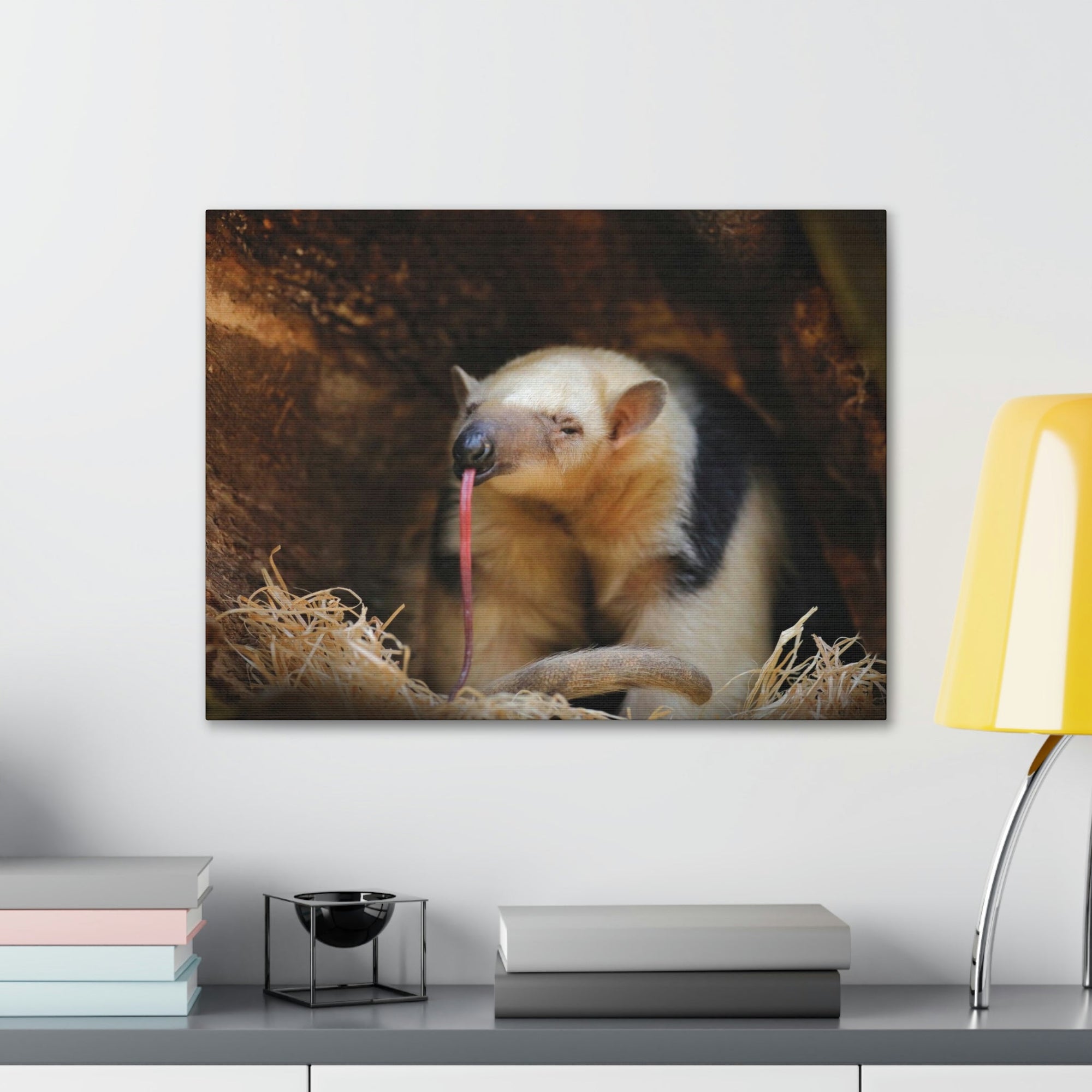 Anteater Long Tongue Anteater With Long Muzzle And Big Ear Wall Art Ready To Hang Unframed-Express Your Love Gifts