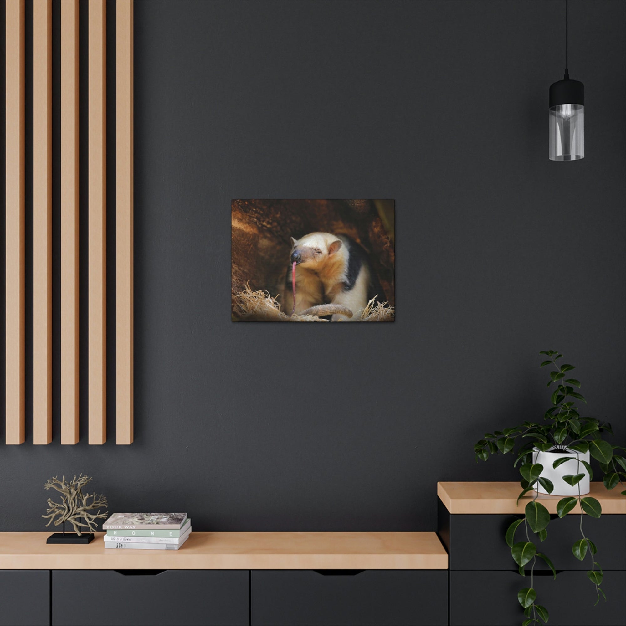 Anteater Long Tongue Anteater With Long Muzzle And Big Ear Wall Art Ready To Hang Unframed-Express Your Love Gifts