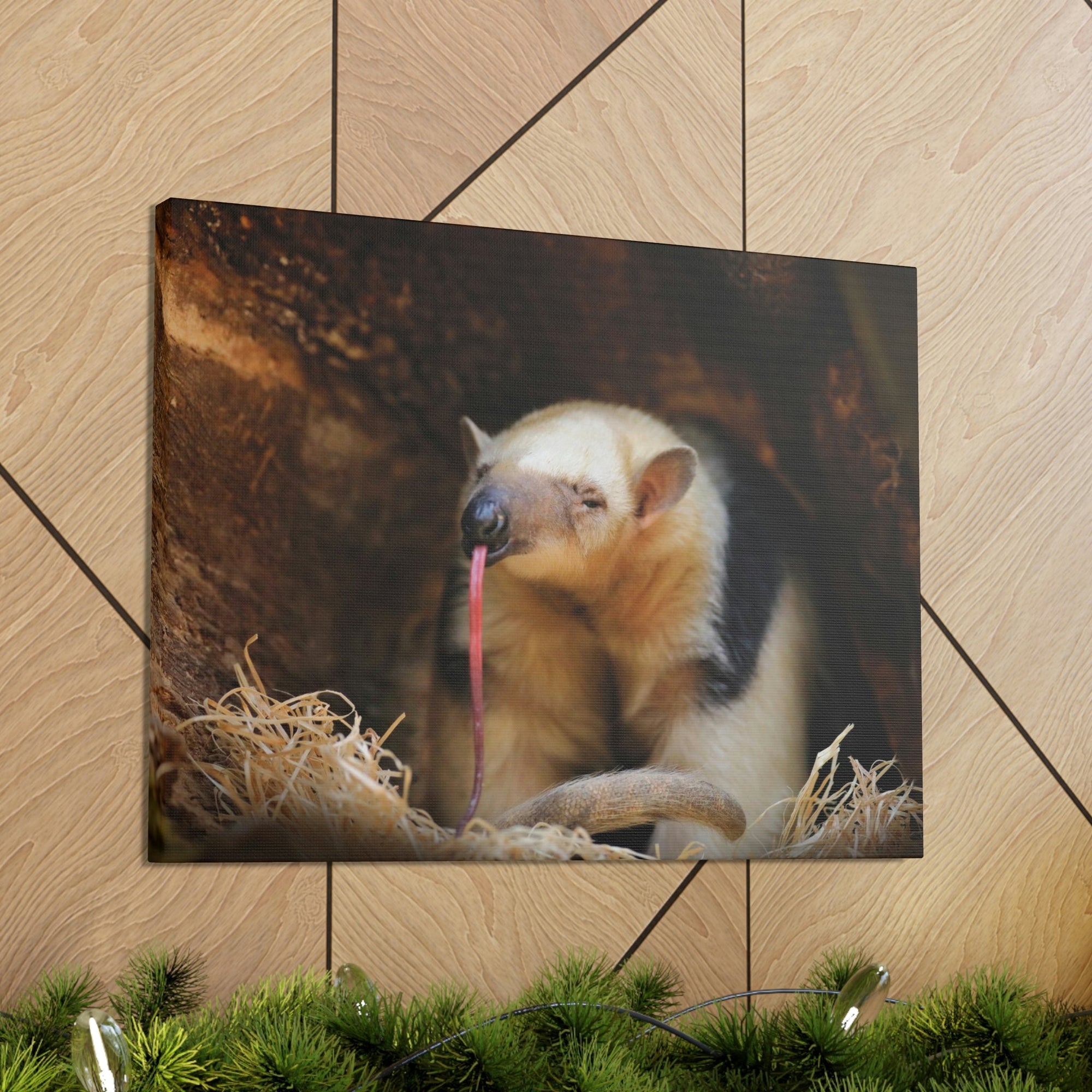 Anteater Long Tongue Anteater With Long Muzzle And Big Ear Wall Art Ready To Hang Unframed-Express Your Love Gifts