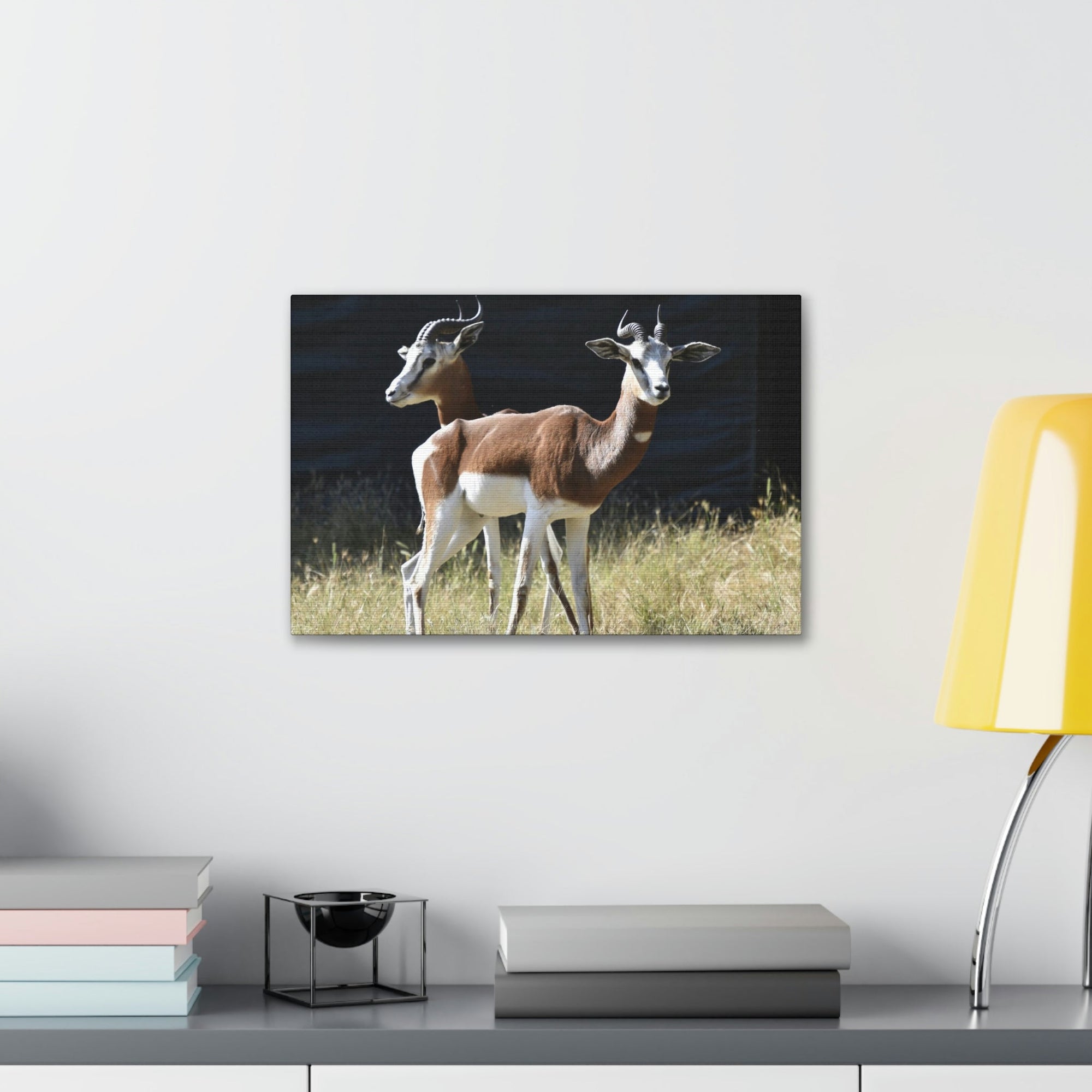 Scripture Walls Antelope Couple Antelope Troop Print Animal Wall Art Wildlife Canvas Prints Wall Art Ready to Hang Unframed-Express Your Love Gifts