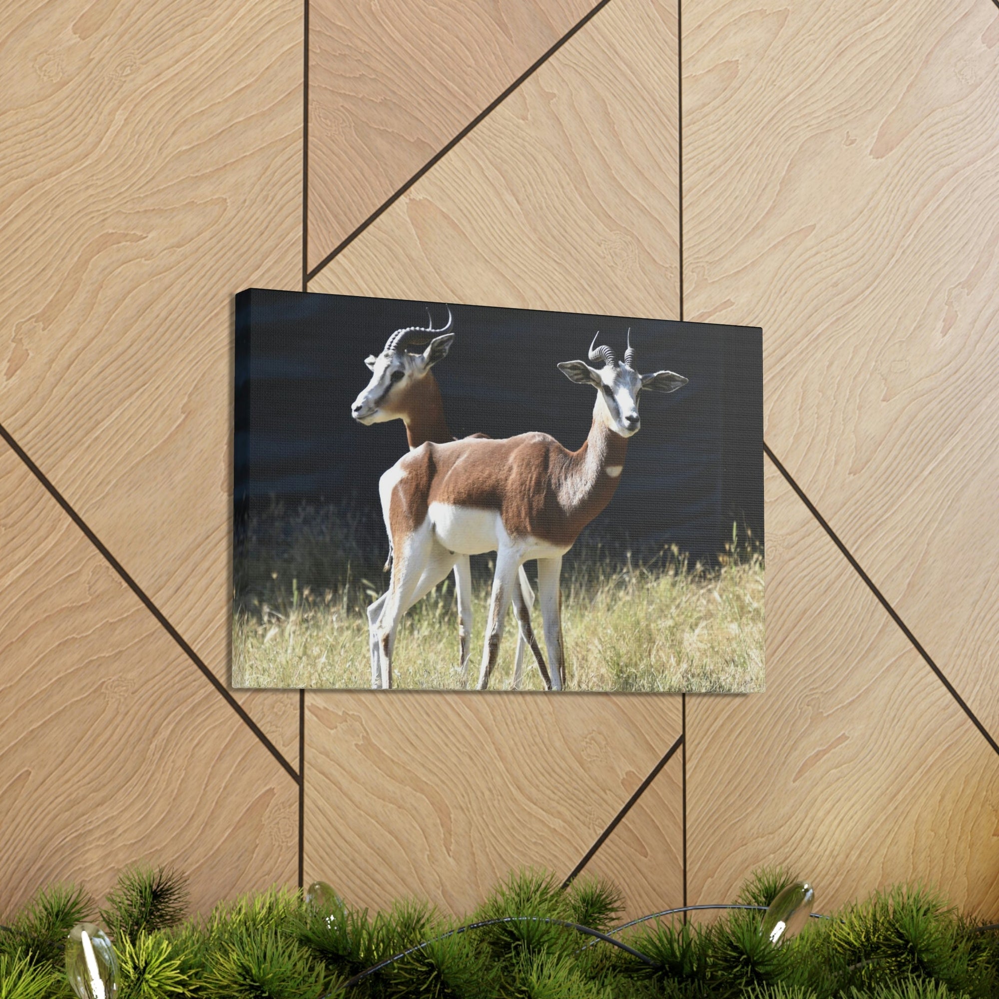 Scripture Walls Antelope Couple Antelope Troop Print Animal Wall Art Wildlife Canvas Prints Wall Art Ready to Hang Unframed-Express Your Love Gifts