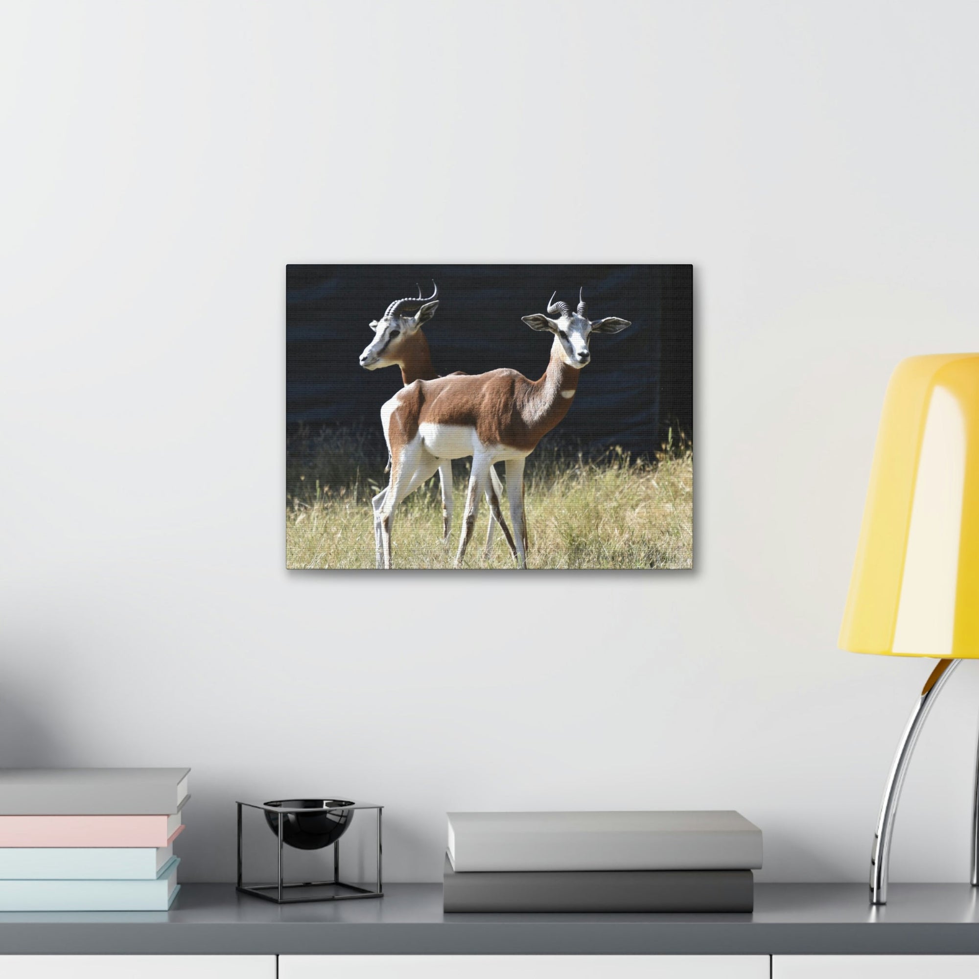 Scripture Walls Antelope Couple Antelope Troop Print Animal Wall Art Wildlife Canvas Prints Wall Art Ready to Hang Unframed-Express Your Love Gifts