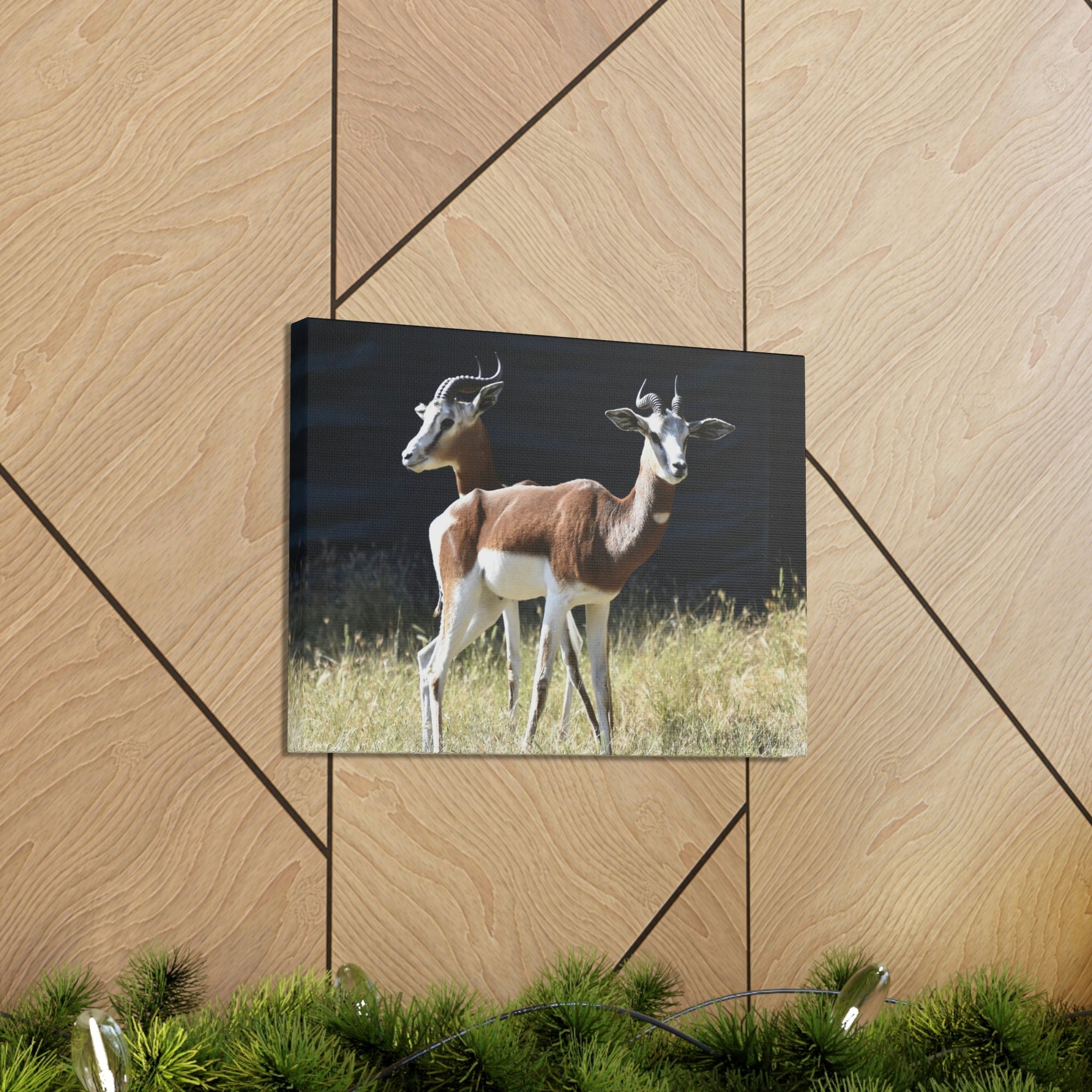 Scripture Walls Antelope Couple Antelope Troop Print Animal Wall Art Wildlife Canvas Prints Wall Art Ready to Hang Unframed-Express Your Love Gifts