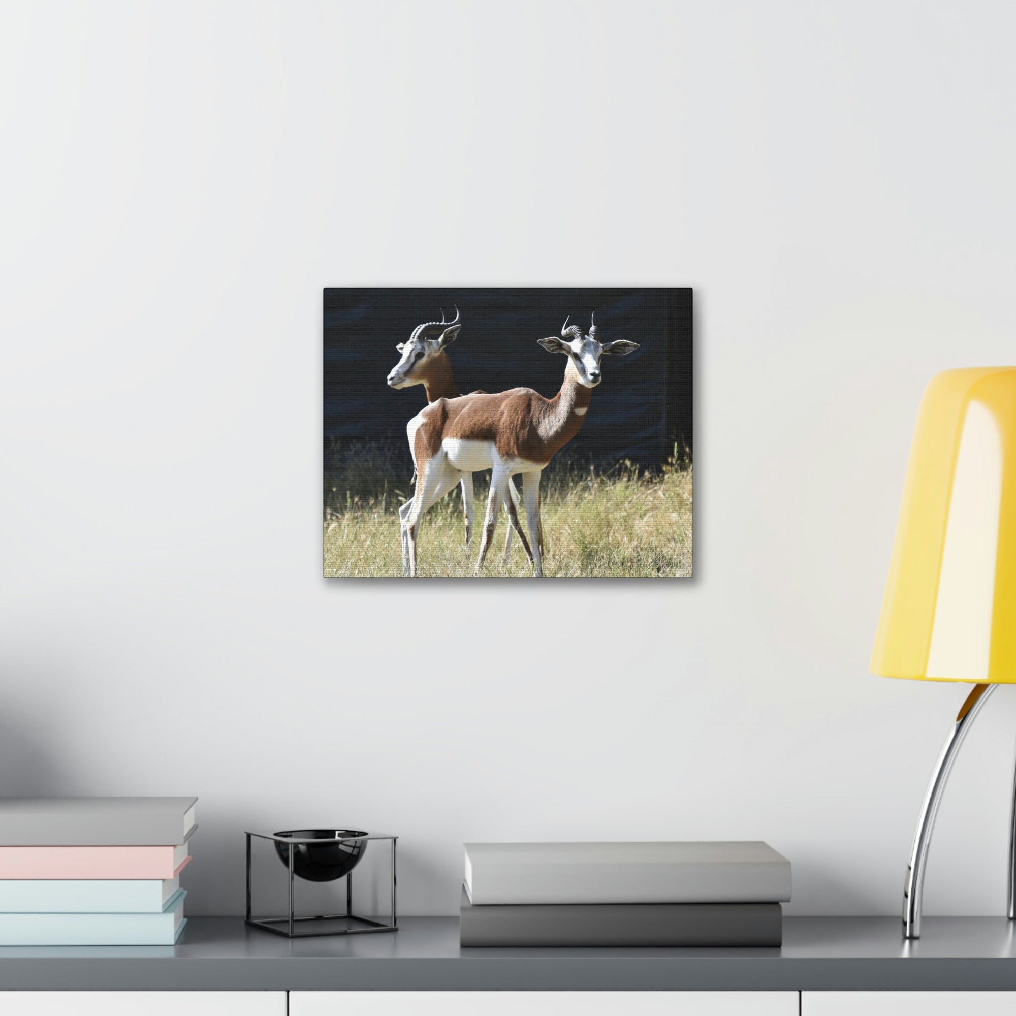 Scripture Walls Antelope Couple Antelope Troop Print Animal Wall Art Wildlife Canvas Prints Wall Art Ready to Hang Unframed-Express Your Love Gifts