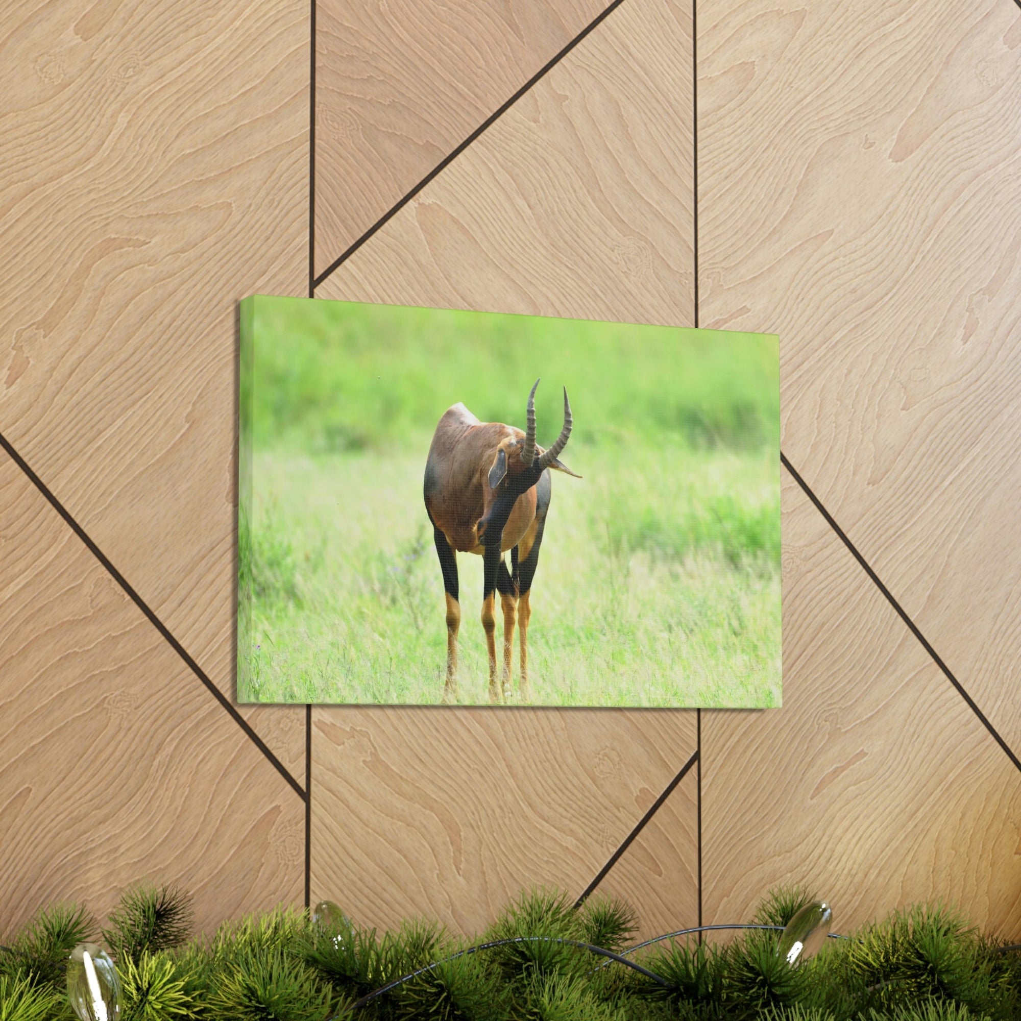 Scripture Walls Antelope Hunting Antelope on Hunt Print Animal Wall Art Wildlife Canvas Prints Wall Art Ready to Hang Unframed-Express Your Love Gifts