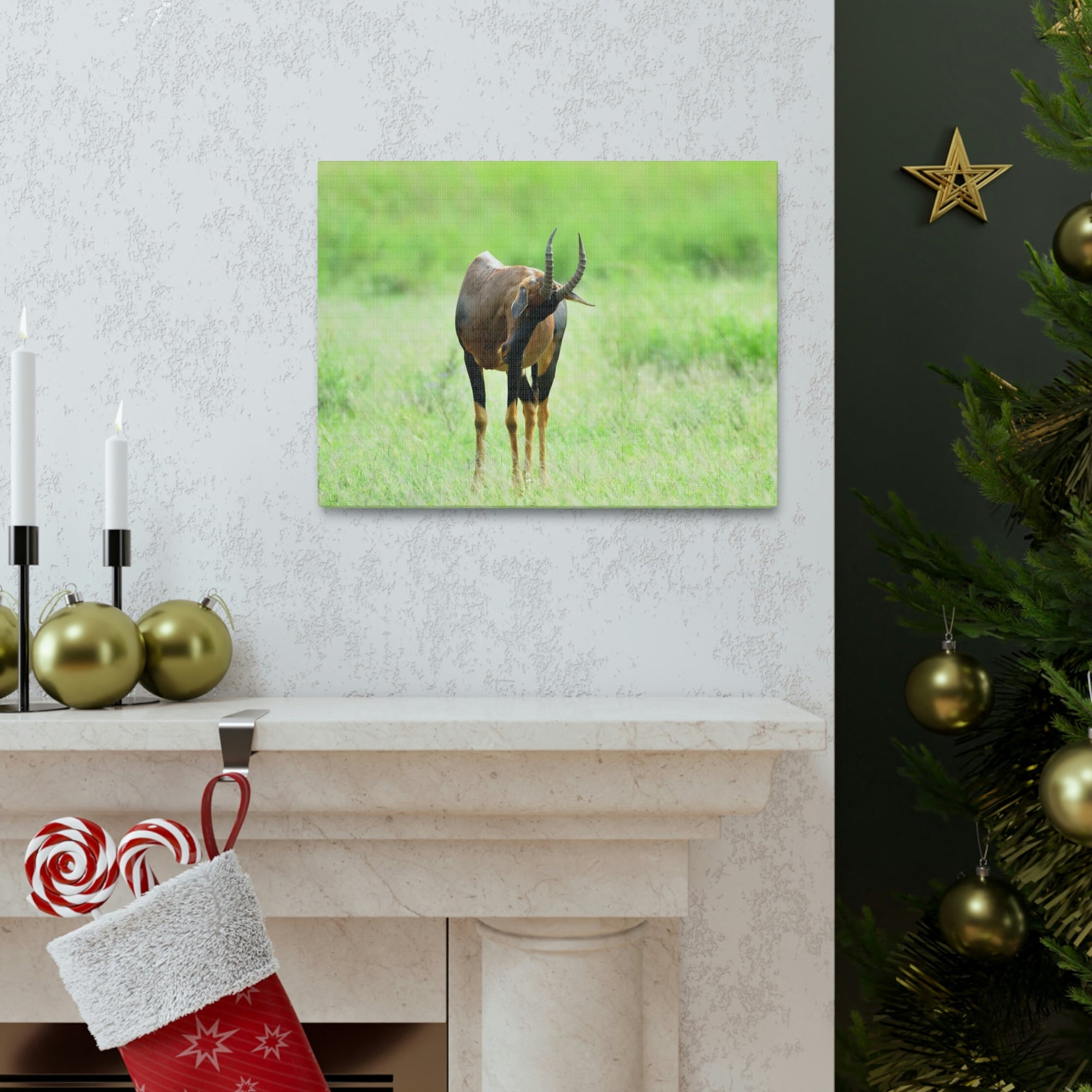 Scripture Walls Antelope Hunting Antelope on Hunt Print Animal Wall Art Wildlife Canvas Prints Wall Art Ready to Hang Unframed-Express Your Love Gifts