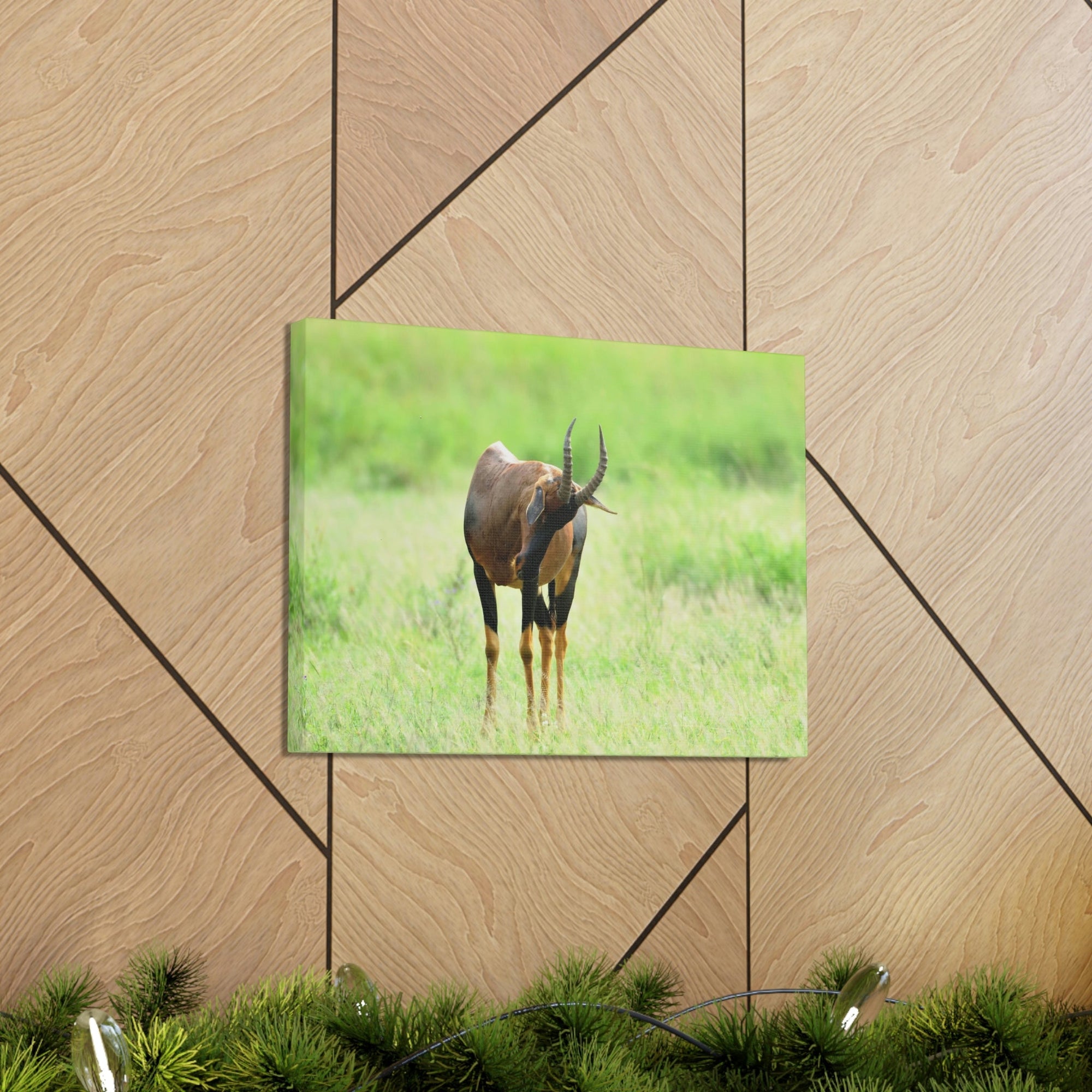 Scripture Walls Antelope Hunting Antelope on Hunt Print Animal Wall Art Wildlife Canvas Prints Wall Art Ready to Hang Unframed-Express Your Love Gifts