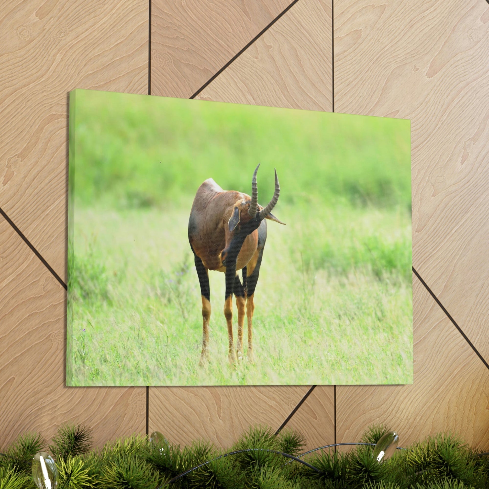 Scripture Walls Antelope Hunting Antelope on Hunt Print Animal Wall Art Wildlife Canvas Prints Wall Art Ready to Hang Unframed-Express Your Love Gifts