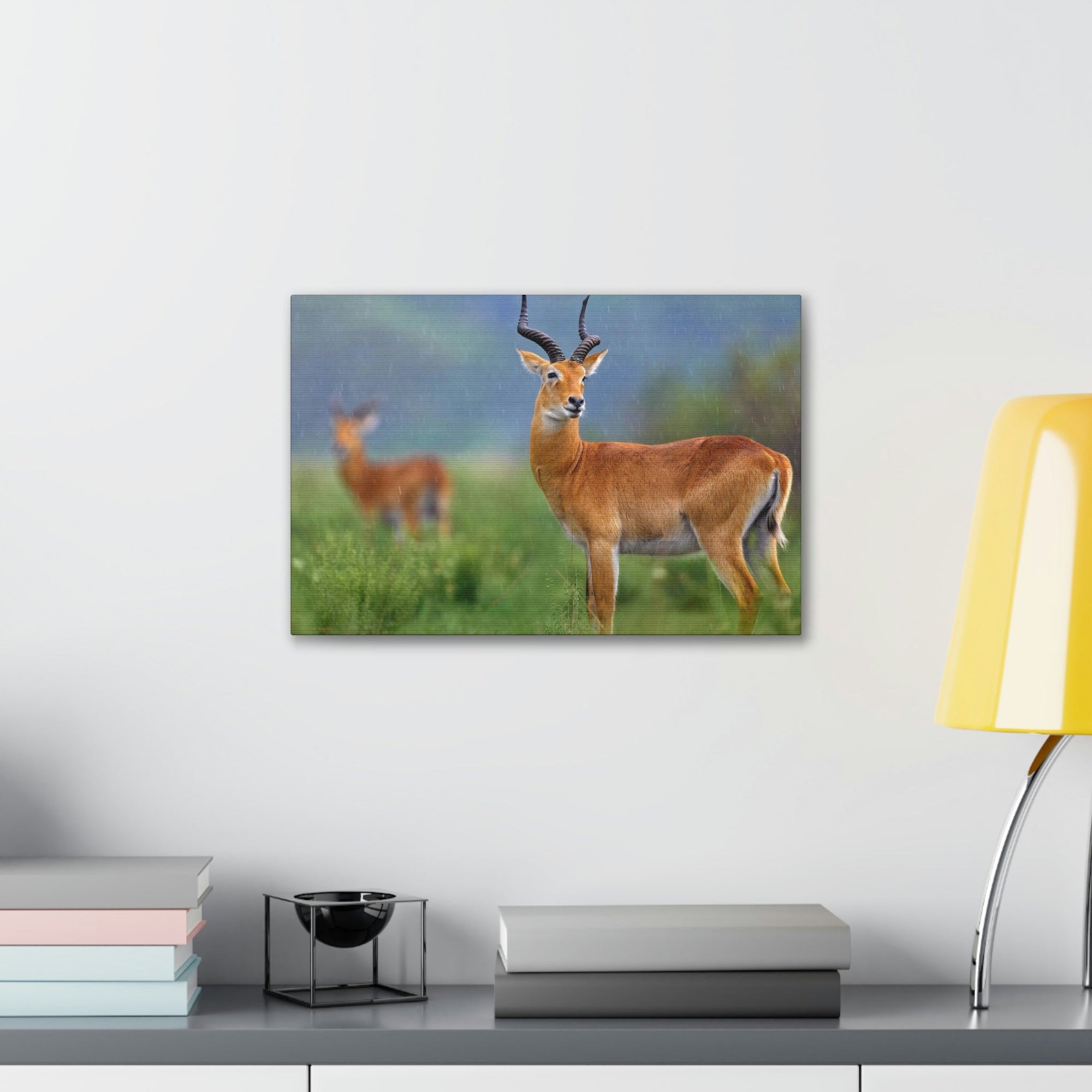 Antelope In Green Vegetation Cute Antelope Outside Wall Art Ready To Hang Unframed-Express Your Love Gifts