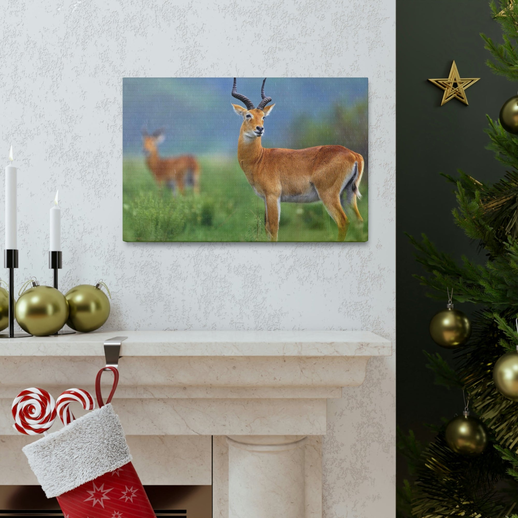 Antelope In Green Vegetation Cute Antelope Outside Wall Art Ready To Hang Unframed-Express Your Love Gifts