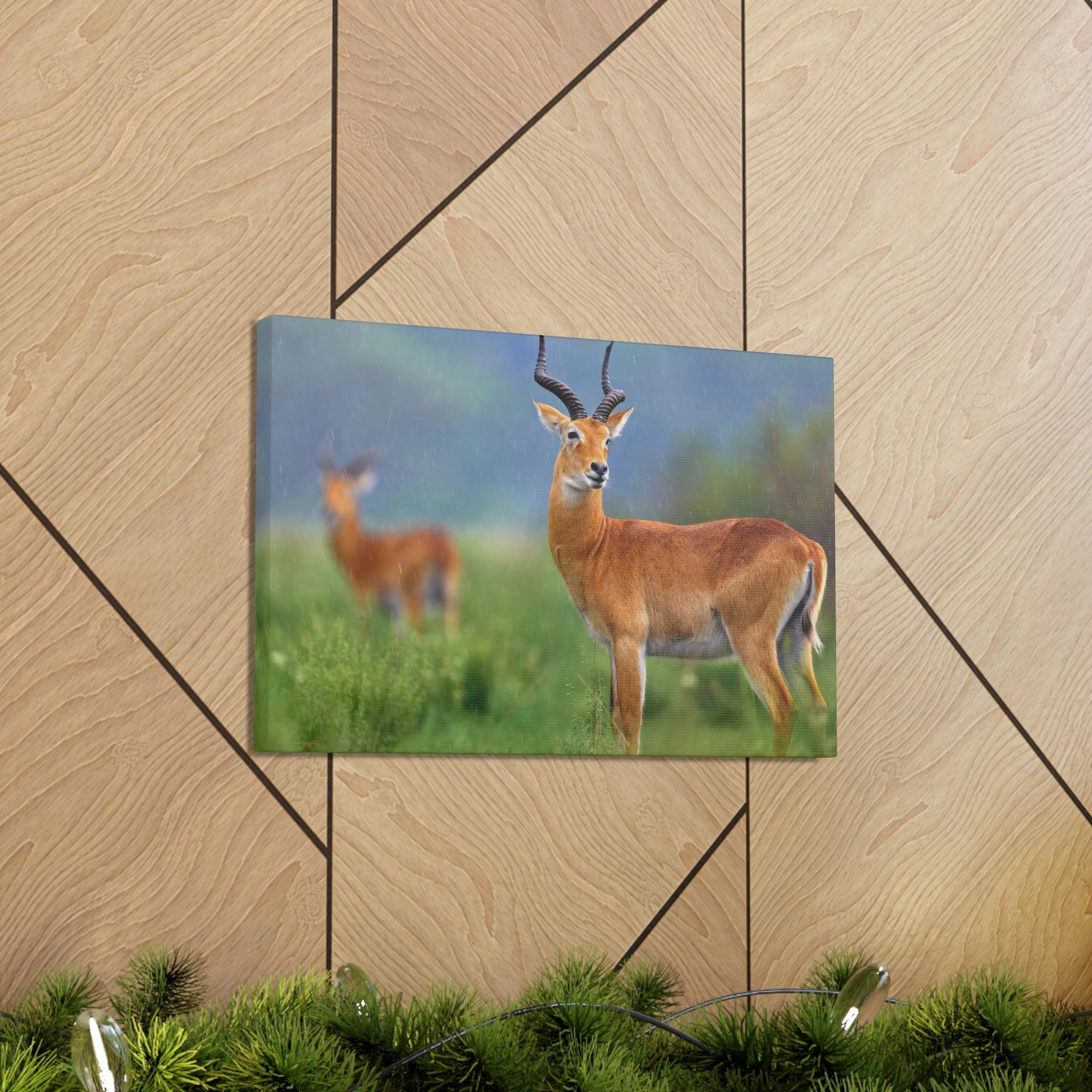 Antelope In Green Vegetation Cute Antelope Outside Wall Art Ready To Hang Unframed-Express Your Love Gifts