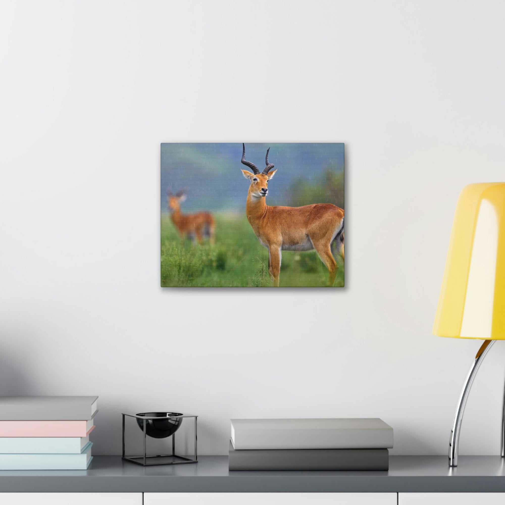 Antelope In Green Vegetation Cute Antelope Outside Wall Art Ready To Hang Unframed-Express Your Love Gifts