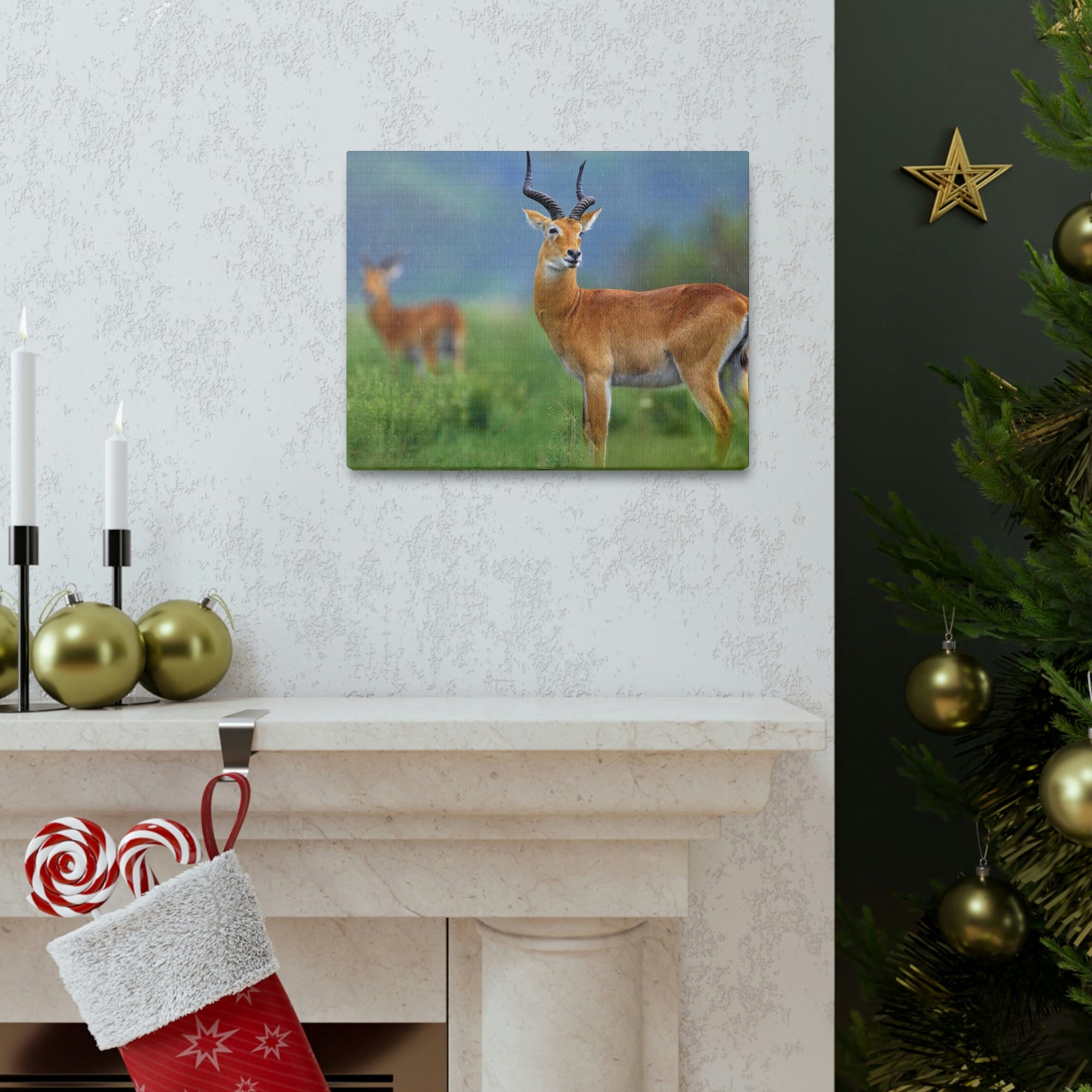 Antelope In Green Vegetation Cute Antelope Outside Wall Art Ready To Hang Unframed-Express Your Love Gifts