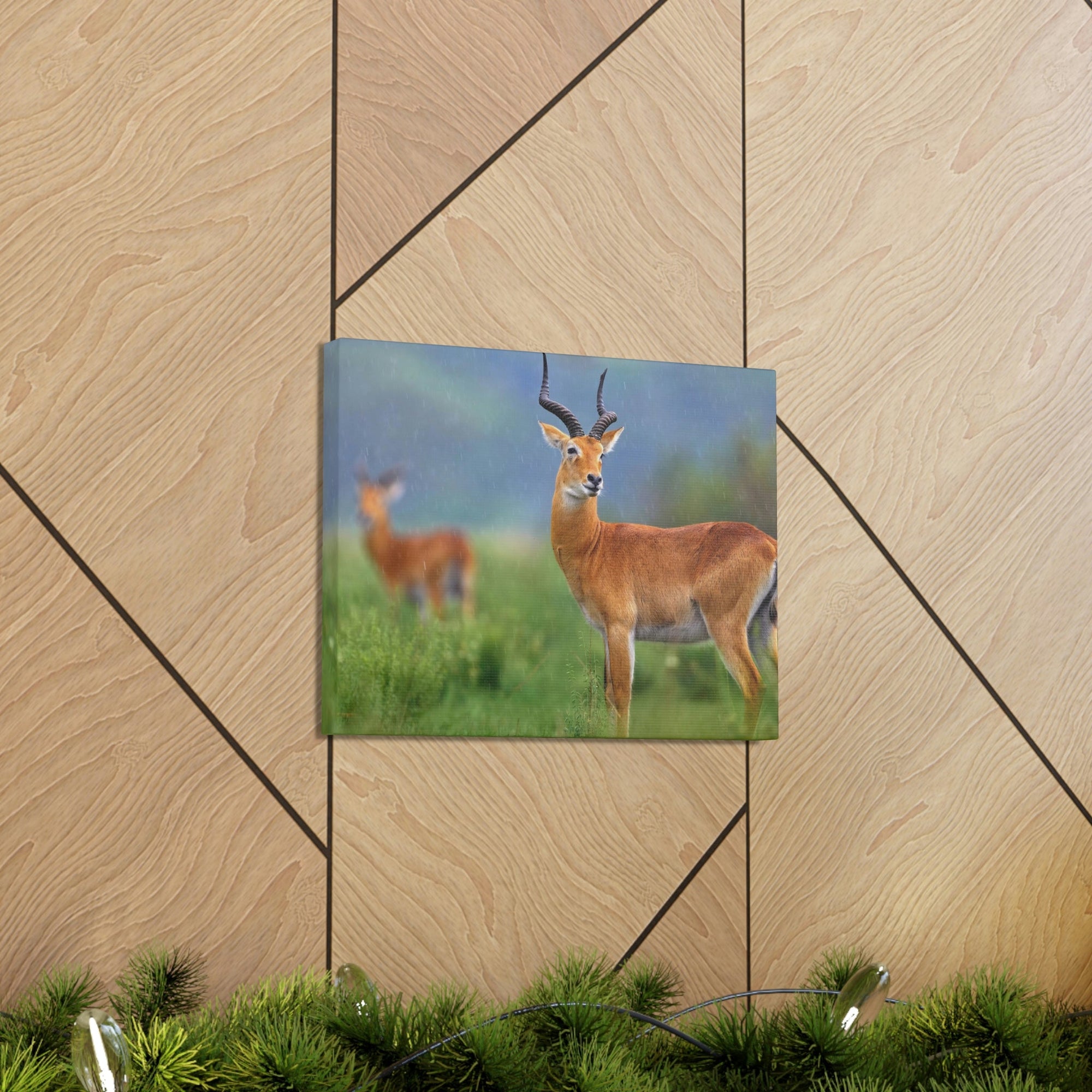 Antelope In Green Vegetation Cute Antelope Outside Wall Art Ready To Hang Unframed-Express Your Love Gifts