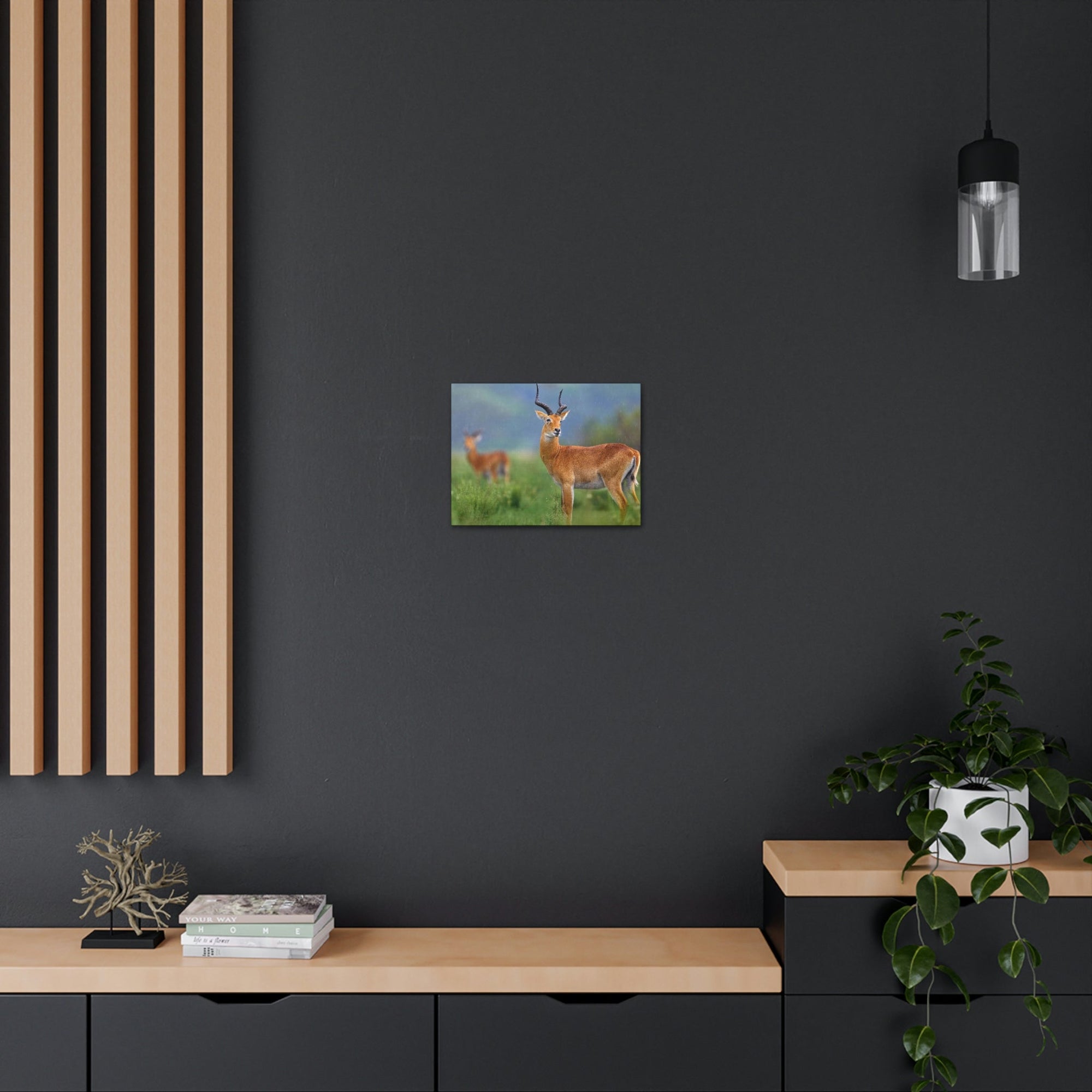 Antelope In Green Vegetation Cute Antelope Outside Wall Art Ready To Hang Unframed-Express Your Love Gifts