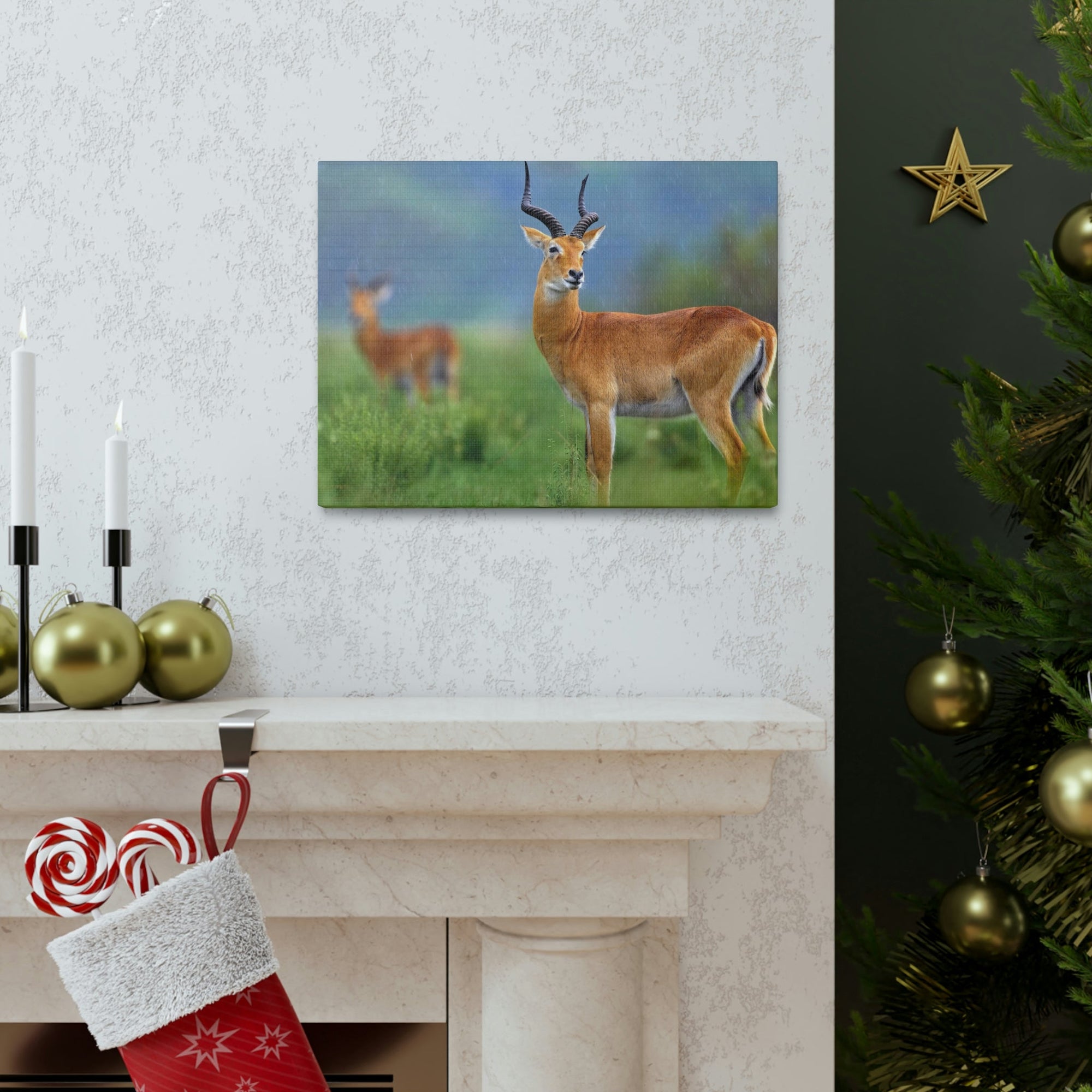 Antelope In Green Vegetation Cute Antelope Outside Wall Art Ready To Hang Unframed-Express Your Love Gifts