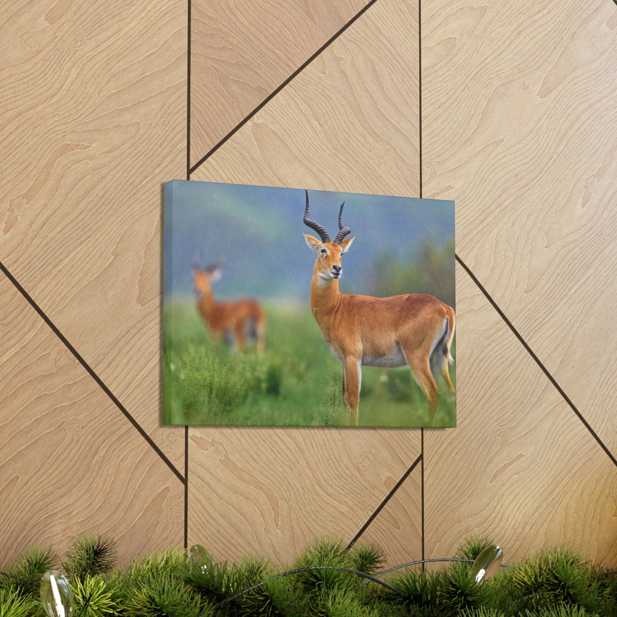 Antelope In Green Vegetation Cute Antelope Outside Wall Art Ready To Hang Unframed-Express Your Love Gifts