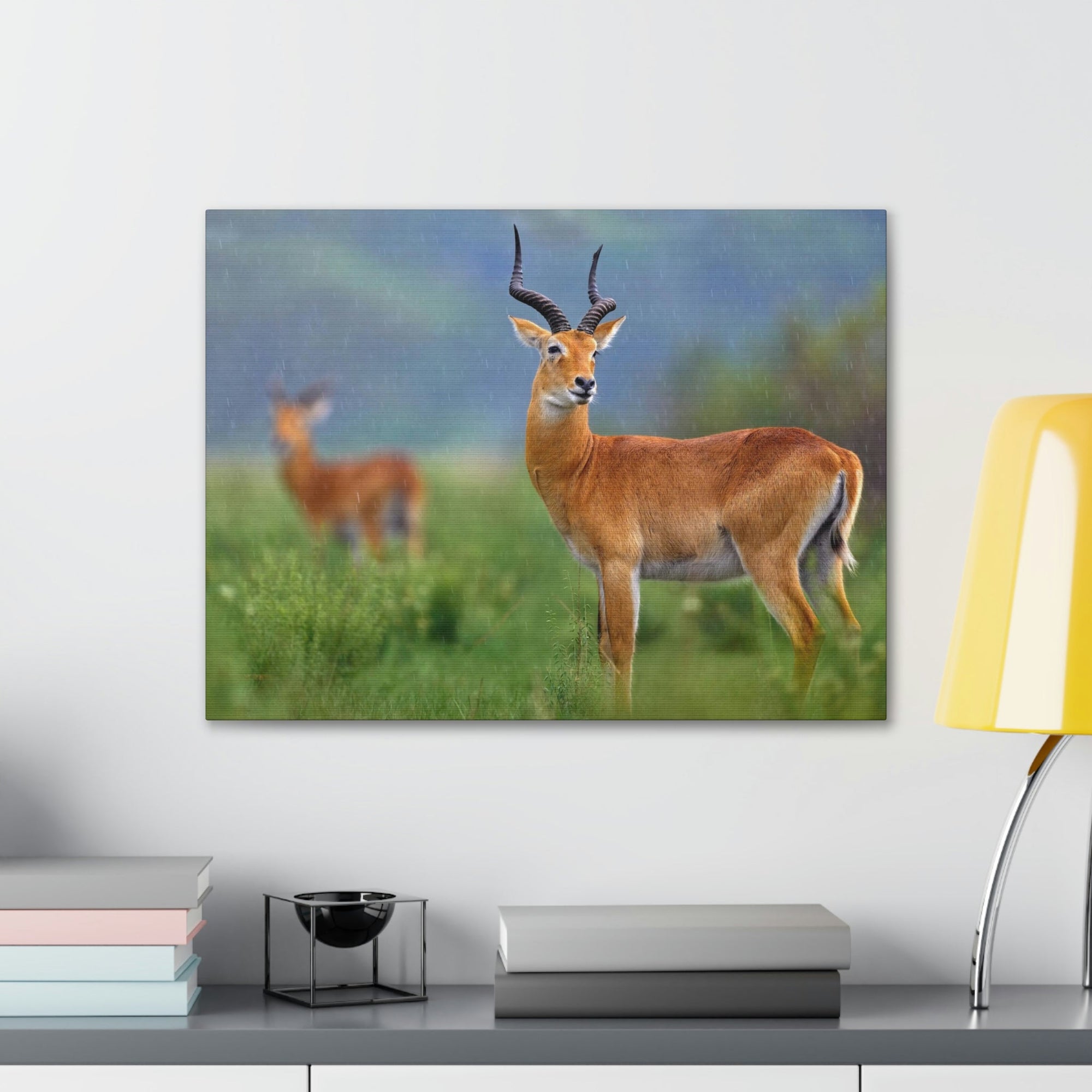 Antelope In Green Vegetation Cute Antelope Outside Wall Art Ready To Hang Unframed-Express Your Love Gifts