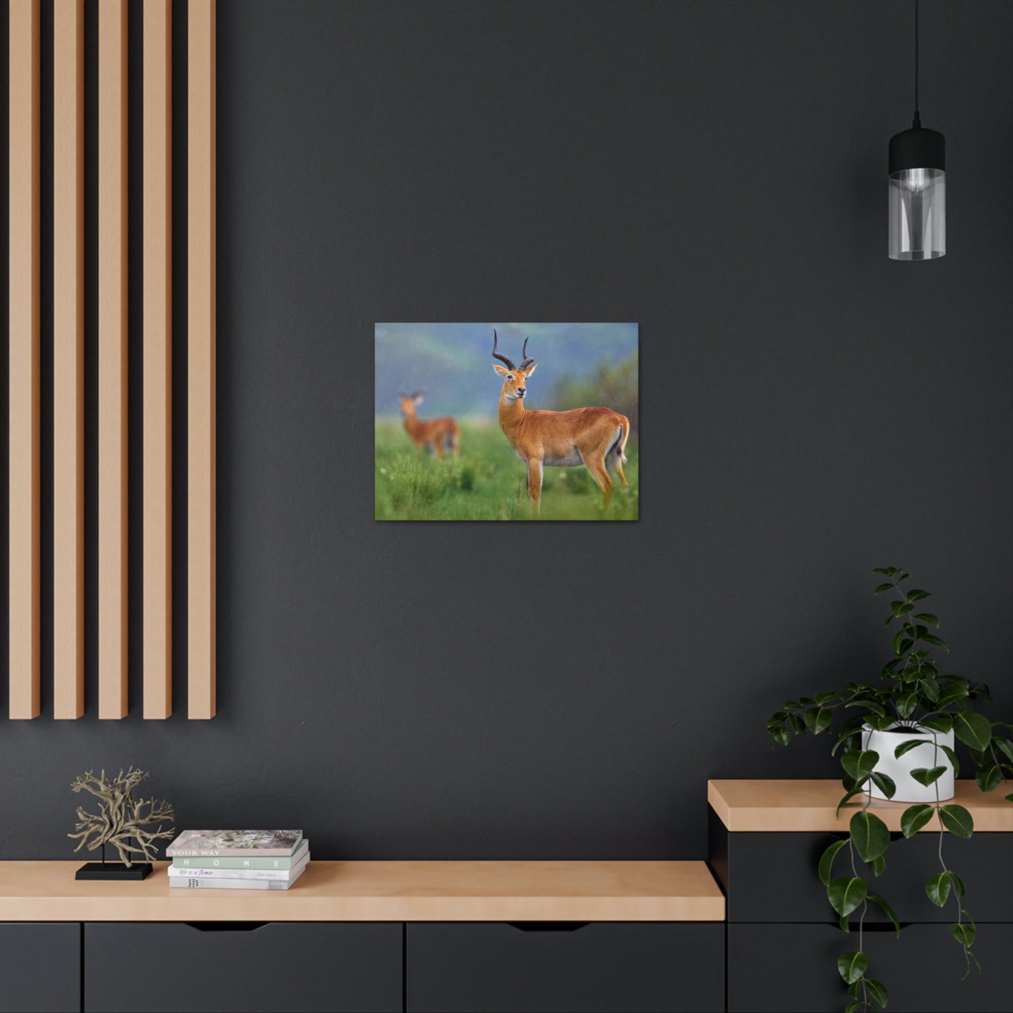 Antelope In Green Vegetation Cute Antelope Outside Wall Art Ready To Hang Unframed-Express Your Love Gifts