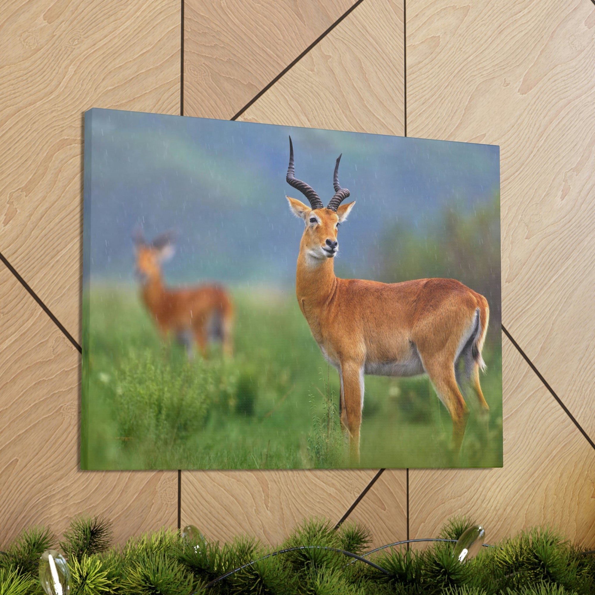 Antelope In Green Vegetation Cute Antelope Outside Wall Art Ready To Hang Unframed-Express Your Love Gifts