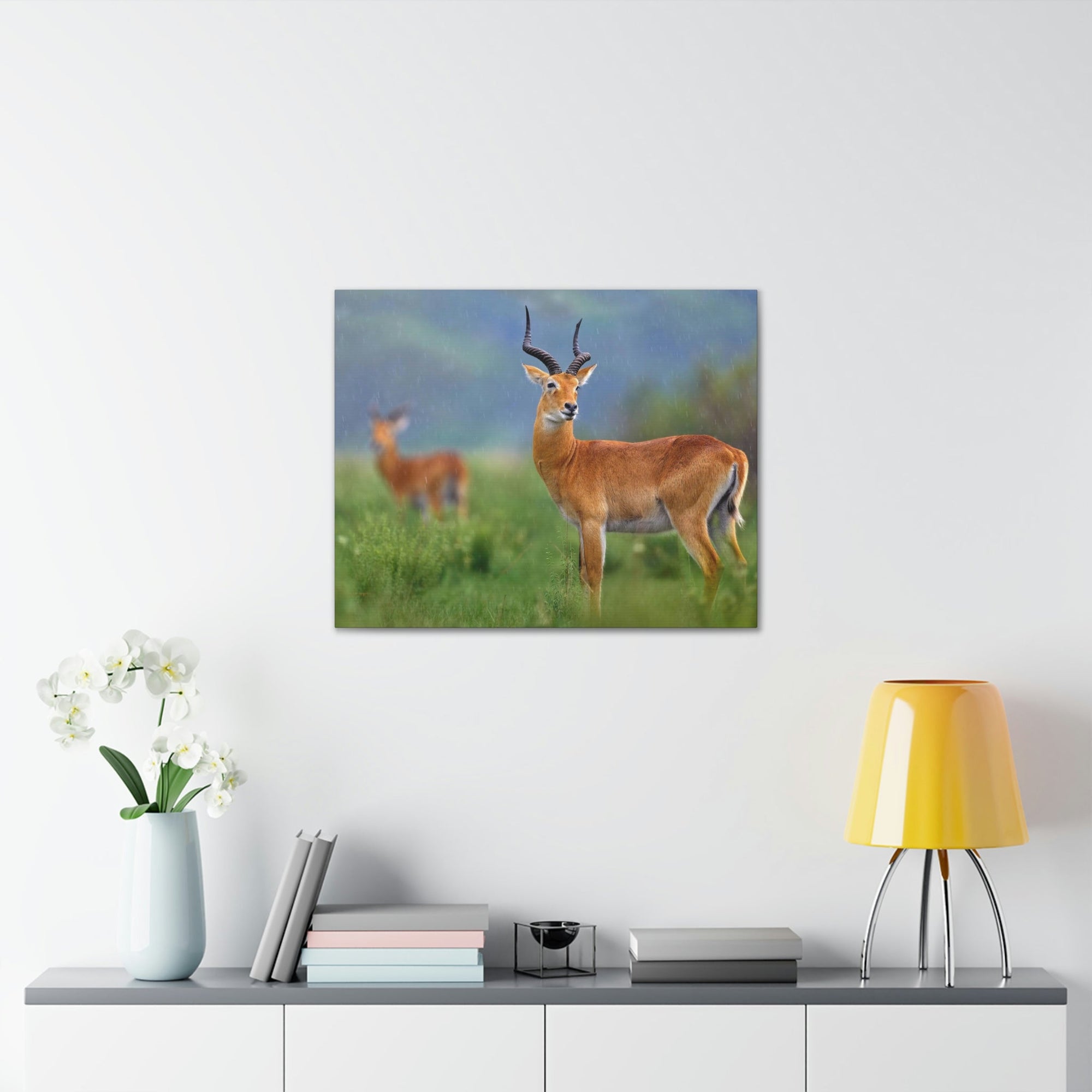 Antelope In Green Vegetation Cute Antelope Outside Wall Art Ready To Hang Unframed-Express Your Love Gifts