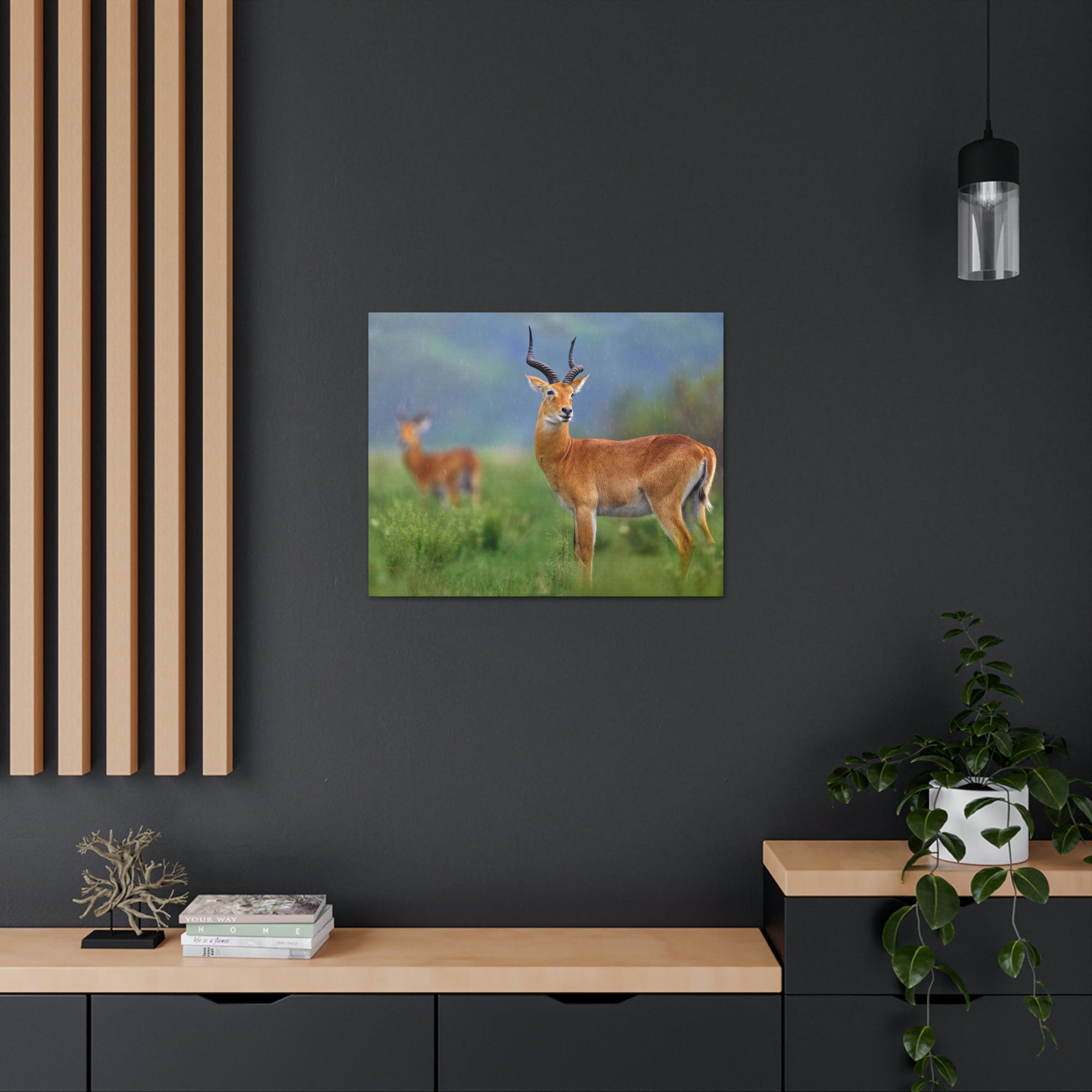 Antelope In Green Vegetation Cute Antelope Outside Wall Art Ready To Hang Unframed-Express Your Love Gifts