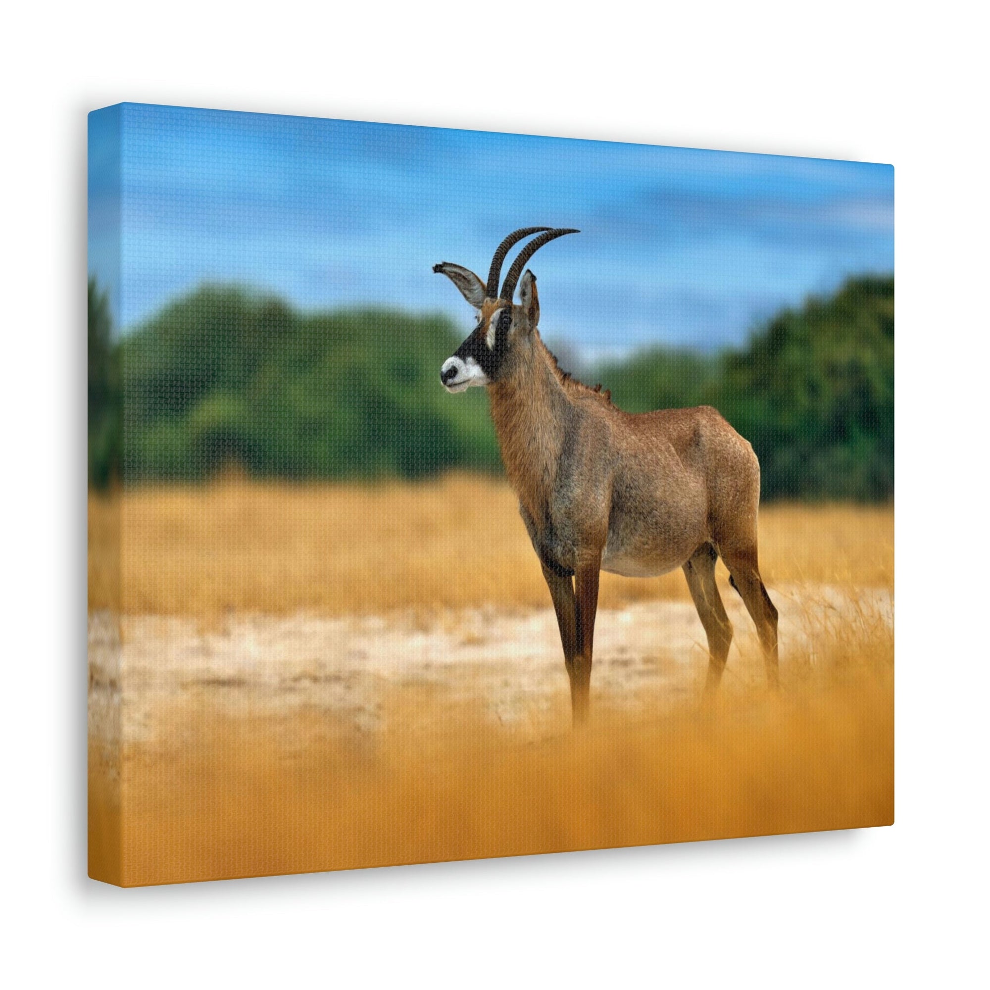 Antelope In Mountain Background Antelope In Grass Outside Wall Art Ready To Hang Unframed-Express Your Love Gifts