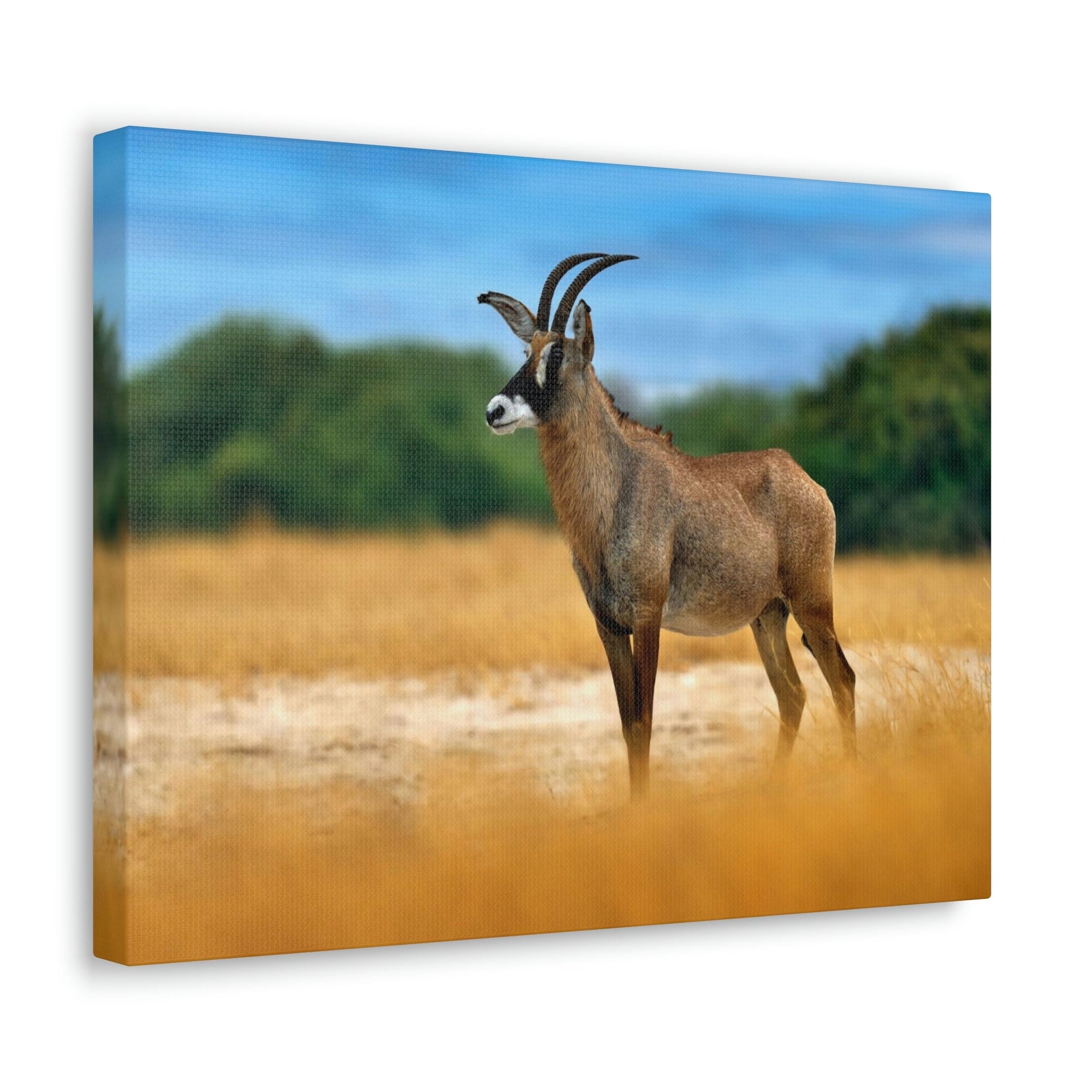 Antelope In Mountain Background Antelope In Grass Outside Wall Art Ready To Hang Unframed-Express Your Love Gifts