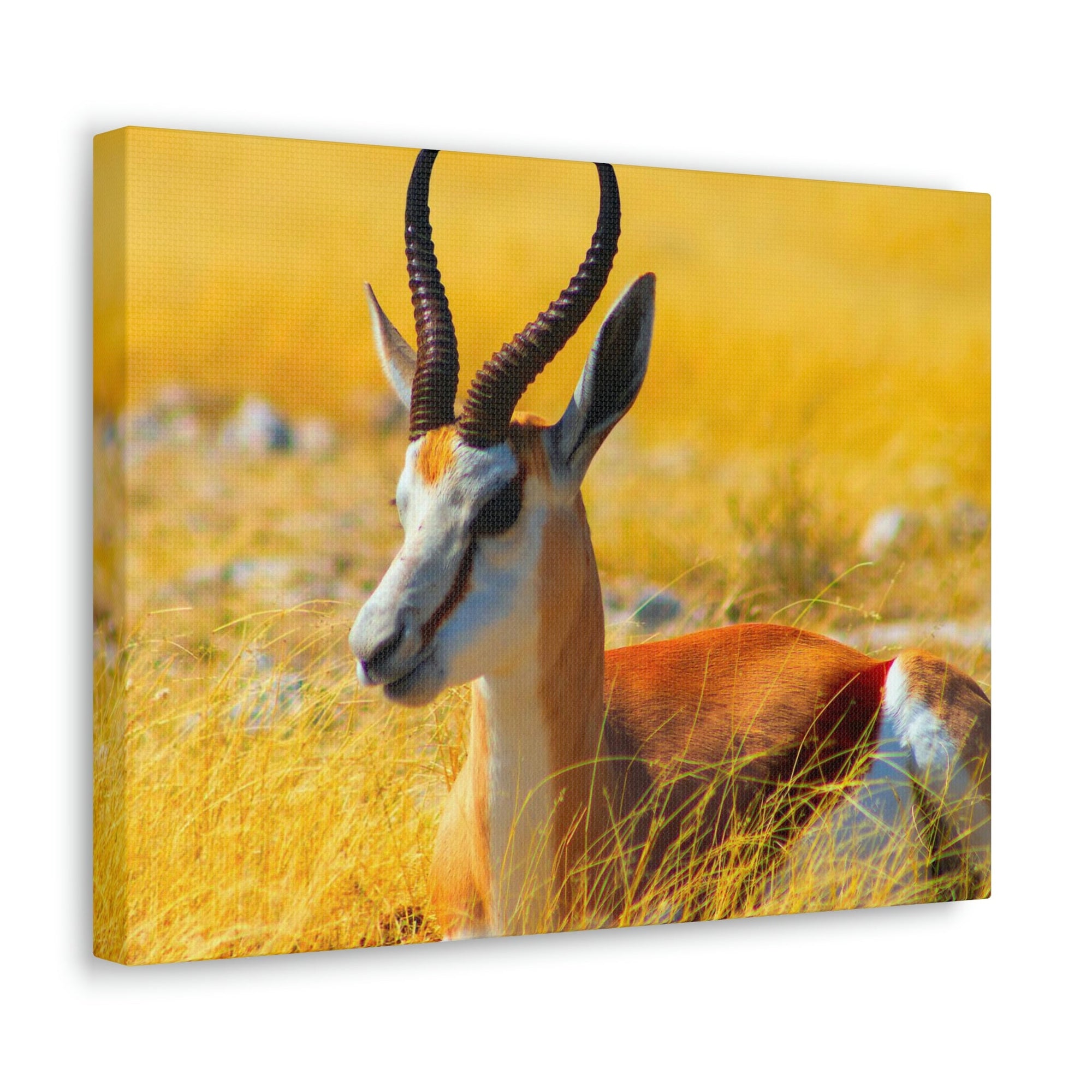 Antelope In Tall Yellow Grass Antelope Wild African Outside Wall Art Ready To Hang Unframed-Express Your Love Gifts