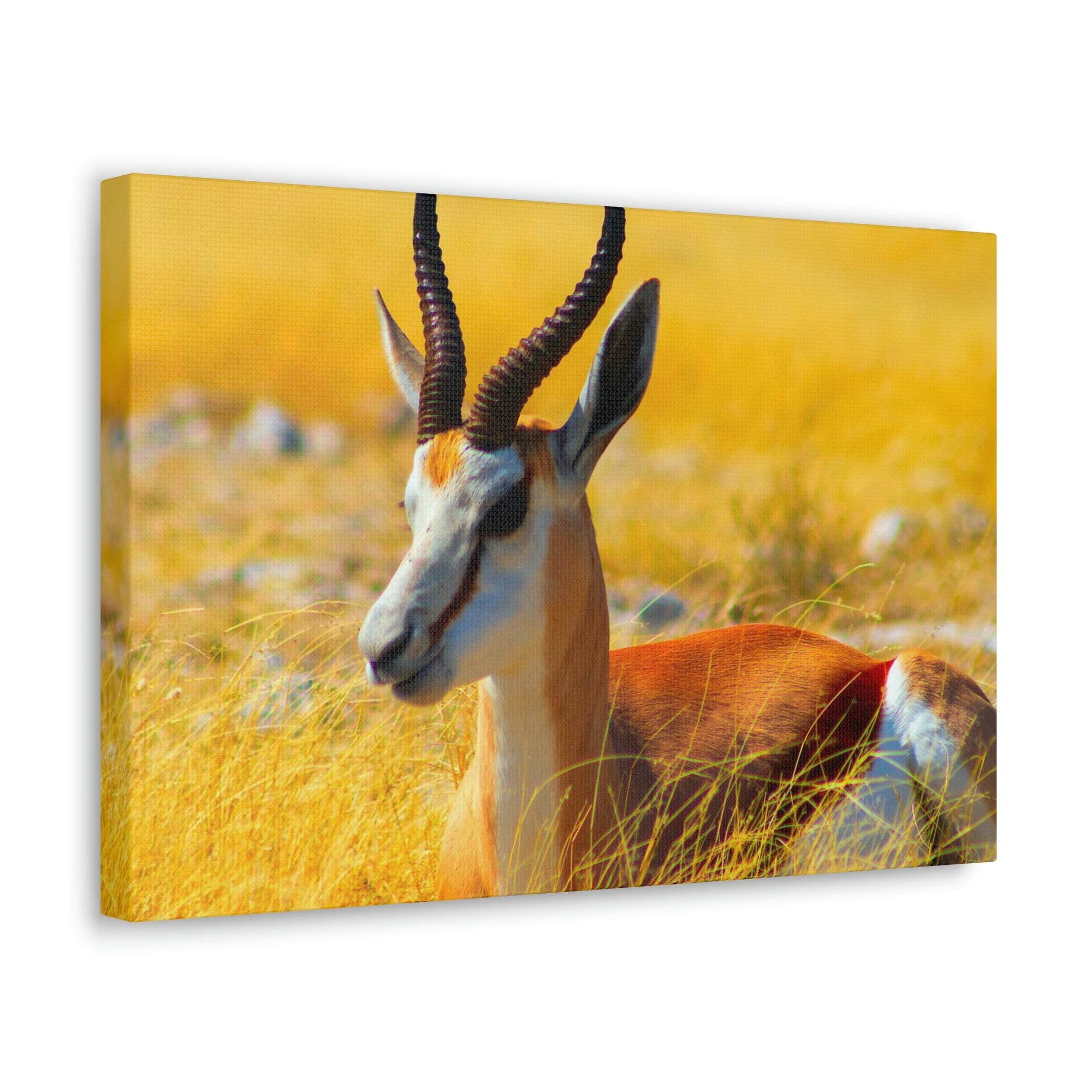 Antelope In Tall Yellow Grass Antelope Wild African Outside Wall Art Ready To Hang Unframed-Express Your Love Gifts